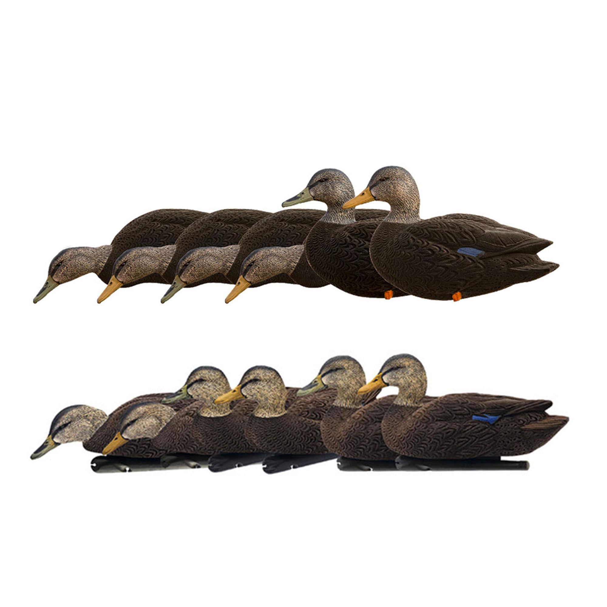  Avian X 408526 23.3 x 15 x 16 Inche(s) Decoy 12 -Pack