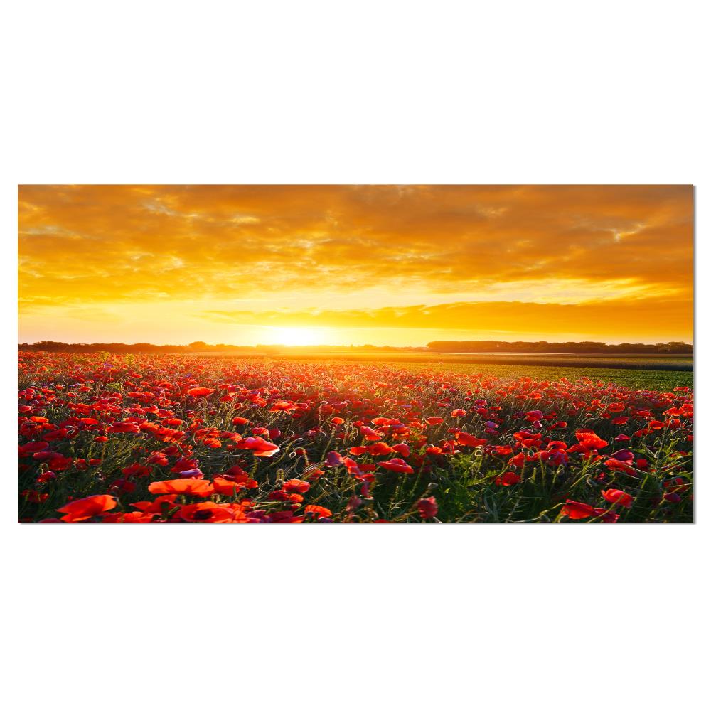 Designart PT15835-60-28 28-Inches H x 60-Inches W Modern Canvas Print