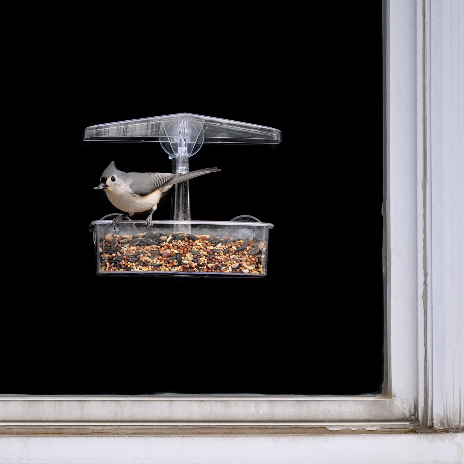 Droll Yankees OWF Bird-Feeders - View #3
