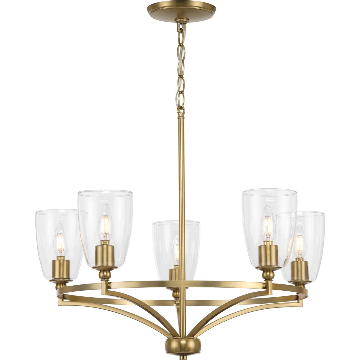Parkhurst Brushed Bronze 5-Light Chandelier with Glass Shades
