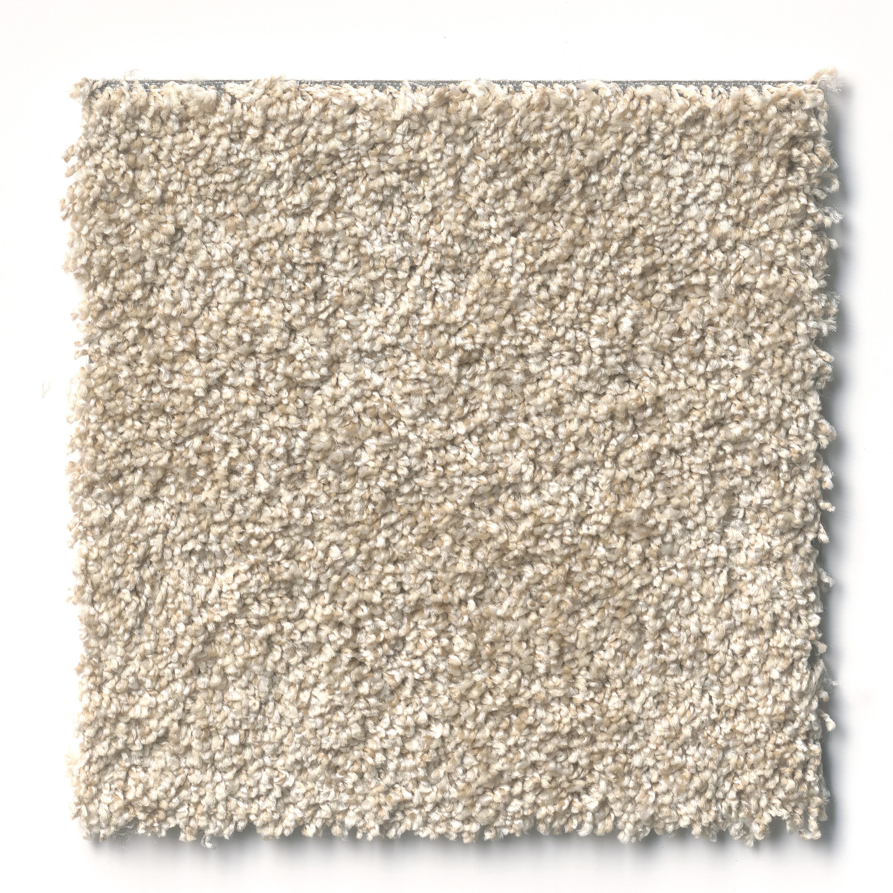 Shaw 7L78100100 Carpet-Tile - View #8