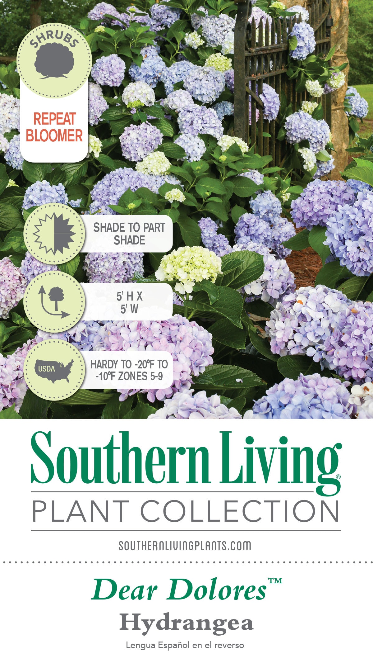 Southern Living Plant Collection 25642-1 shrubs - View #9