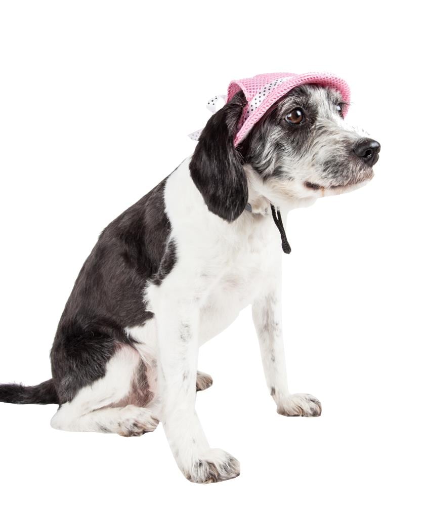Pet Life HT10PKMD Dog-Clothing-Acc - View #3