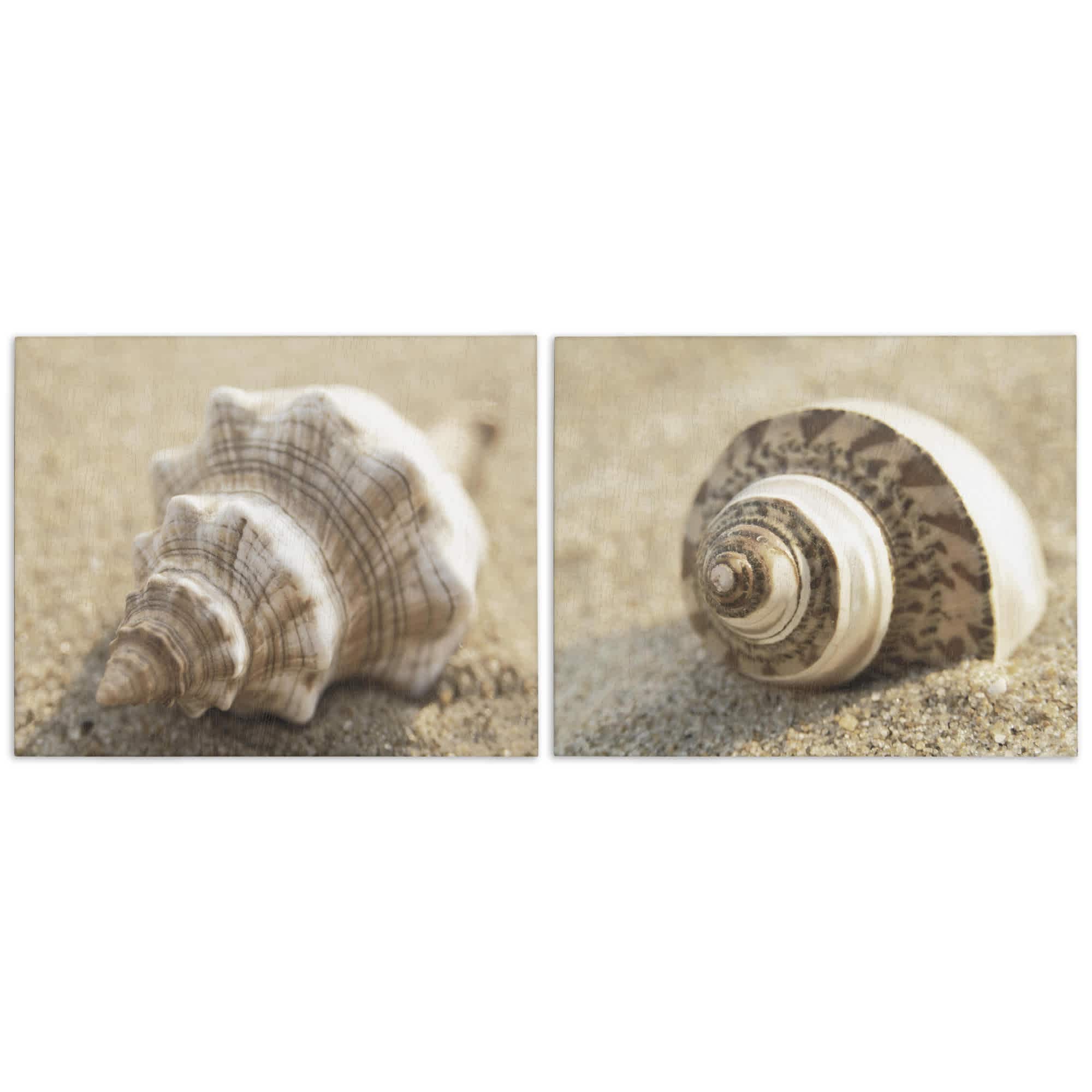 Stupell Industries B2-729-CN-2PC-24X30 Neutral Tone Sea Life 2 Piece Canvas Wall Art Set By Dora Rotondella 30 x 24