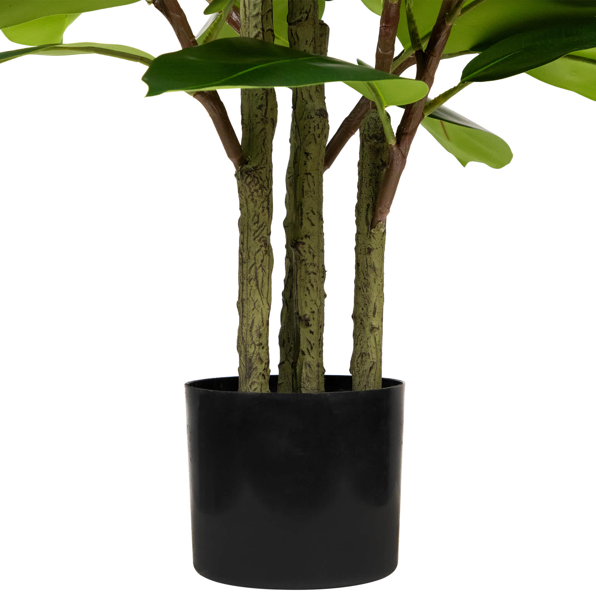 Northlight NORTHLIGHT SM97479 Artificial-Plants-Trees - View #8