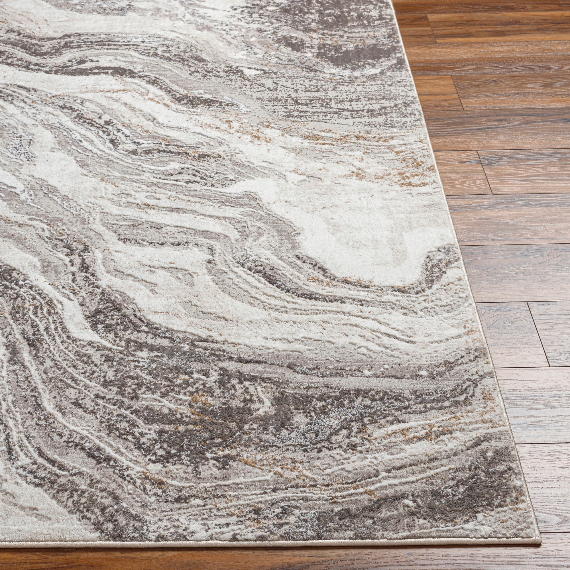 Livabliss ALG2319-679 rugs - View #2