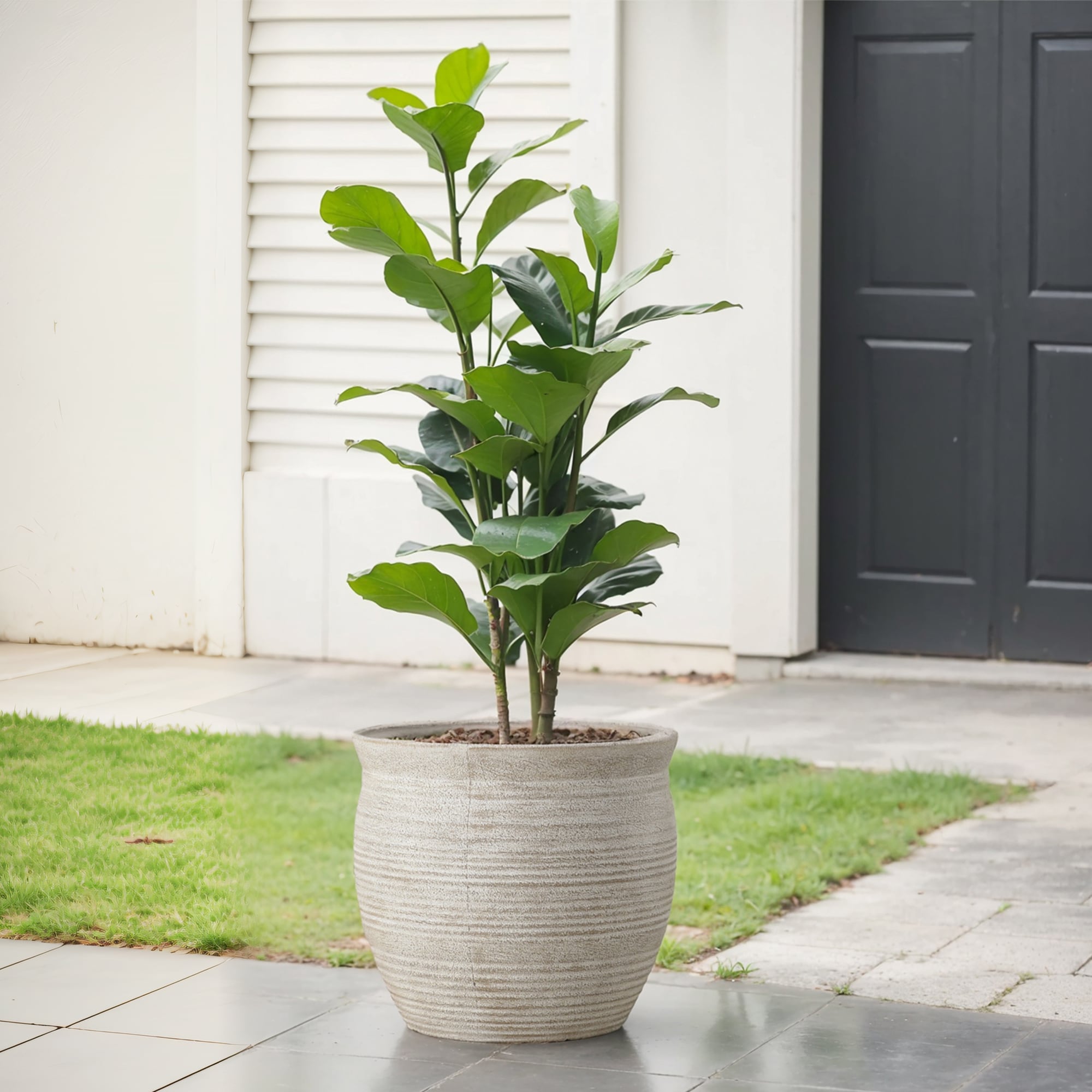 allen + roth PLJF115TTJ Planter-Window-Box - View #2