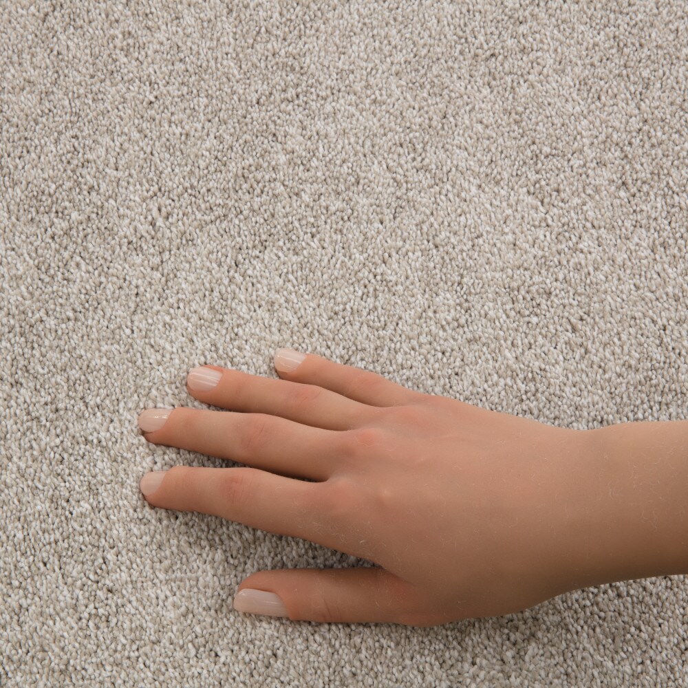 STAINMASTER PetProtect 7L938-121-SAMP Carpet-Samples - View #4