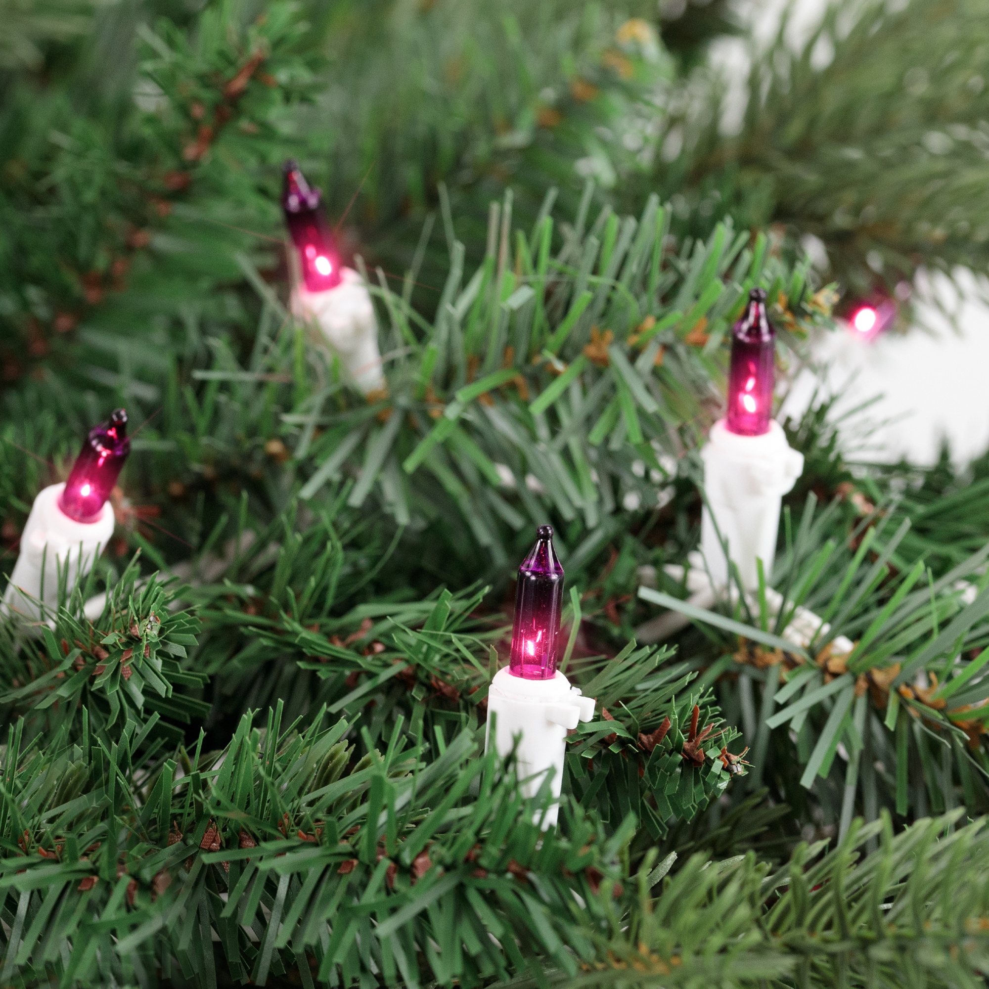 Northlight 32601598 Christmas-String-Lights - View #4