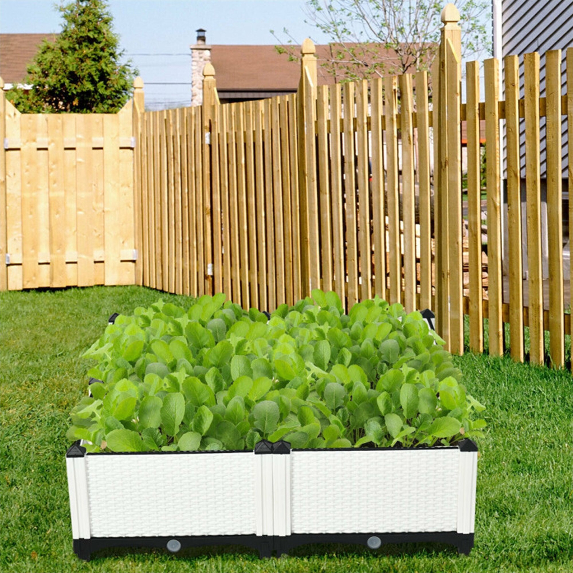 BABOOM BOM-70301WH-CO Raised-Planter-Boxes - View #5