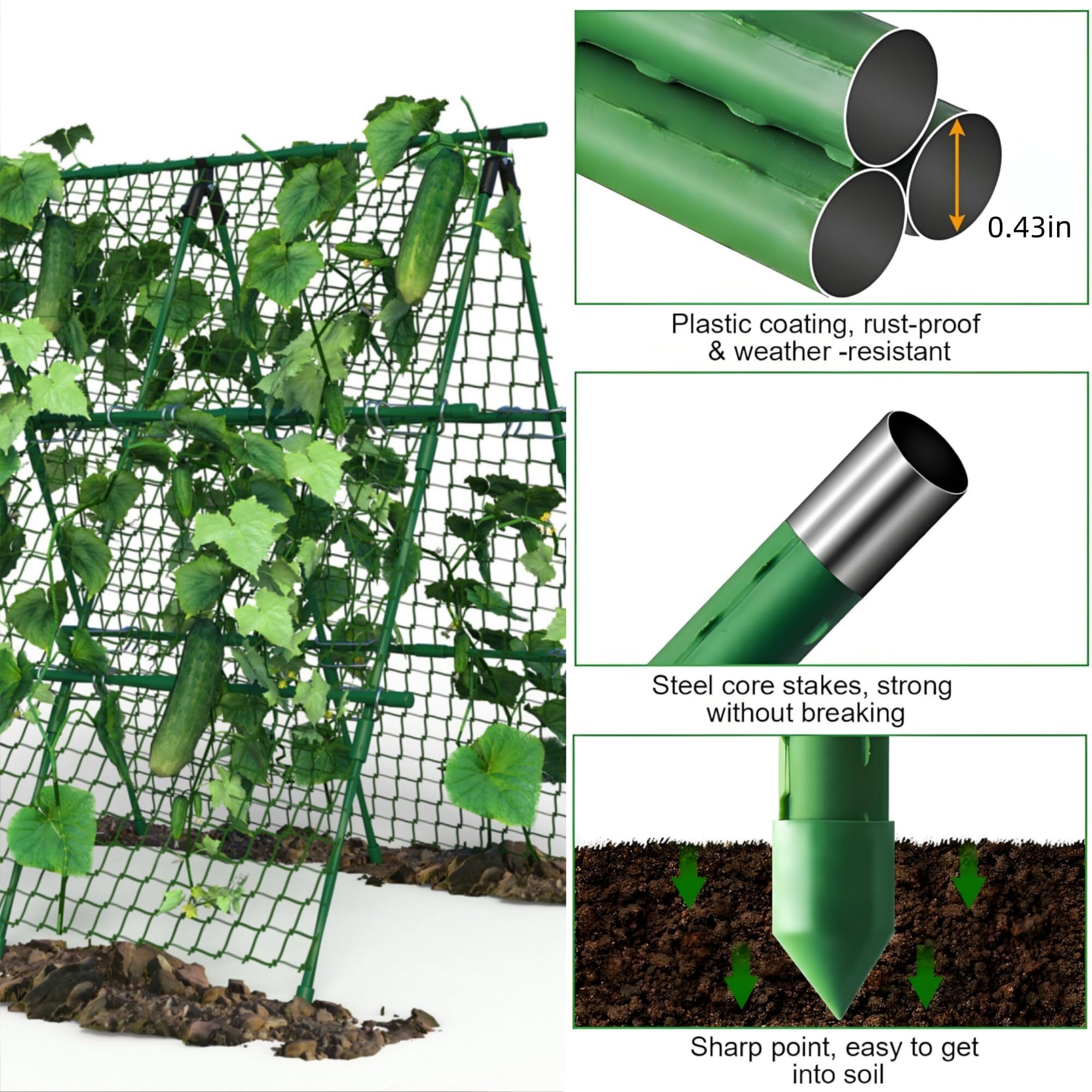Encore Beets NOVA-MVTJKH8F3K Garden-Trellis - View #4