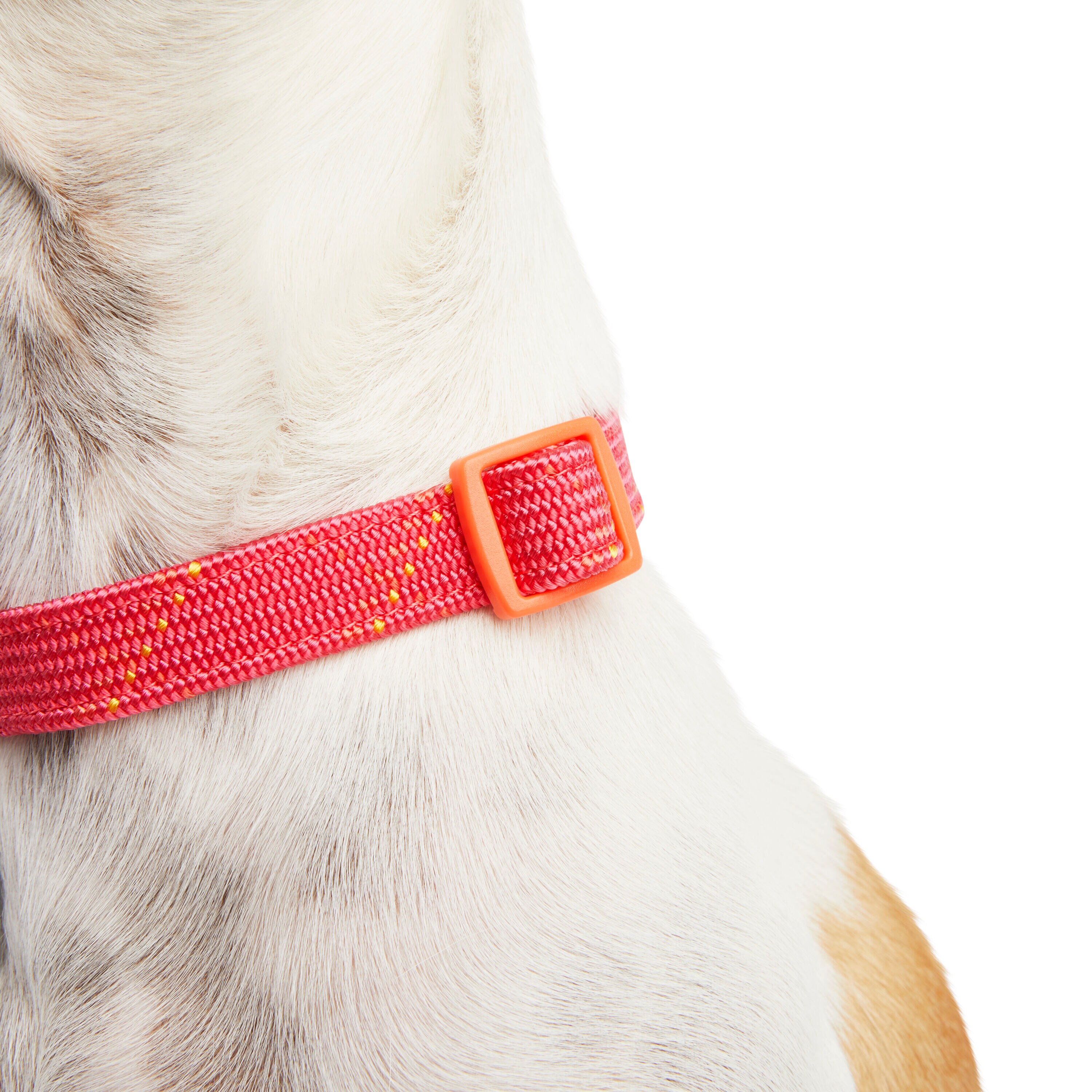 Youly 3380504 Dog-Collars-Harnesses - View #4