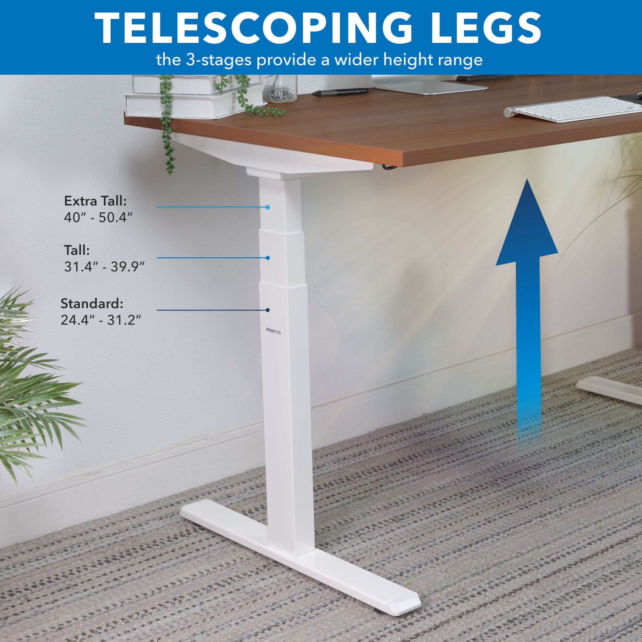 ErgoMaster Pro White Electric Sit/Stand Desk with Brown Top and Dual Motor