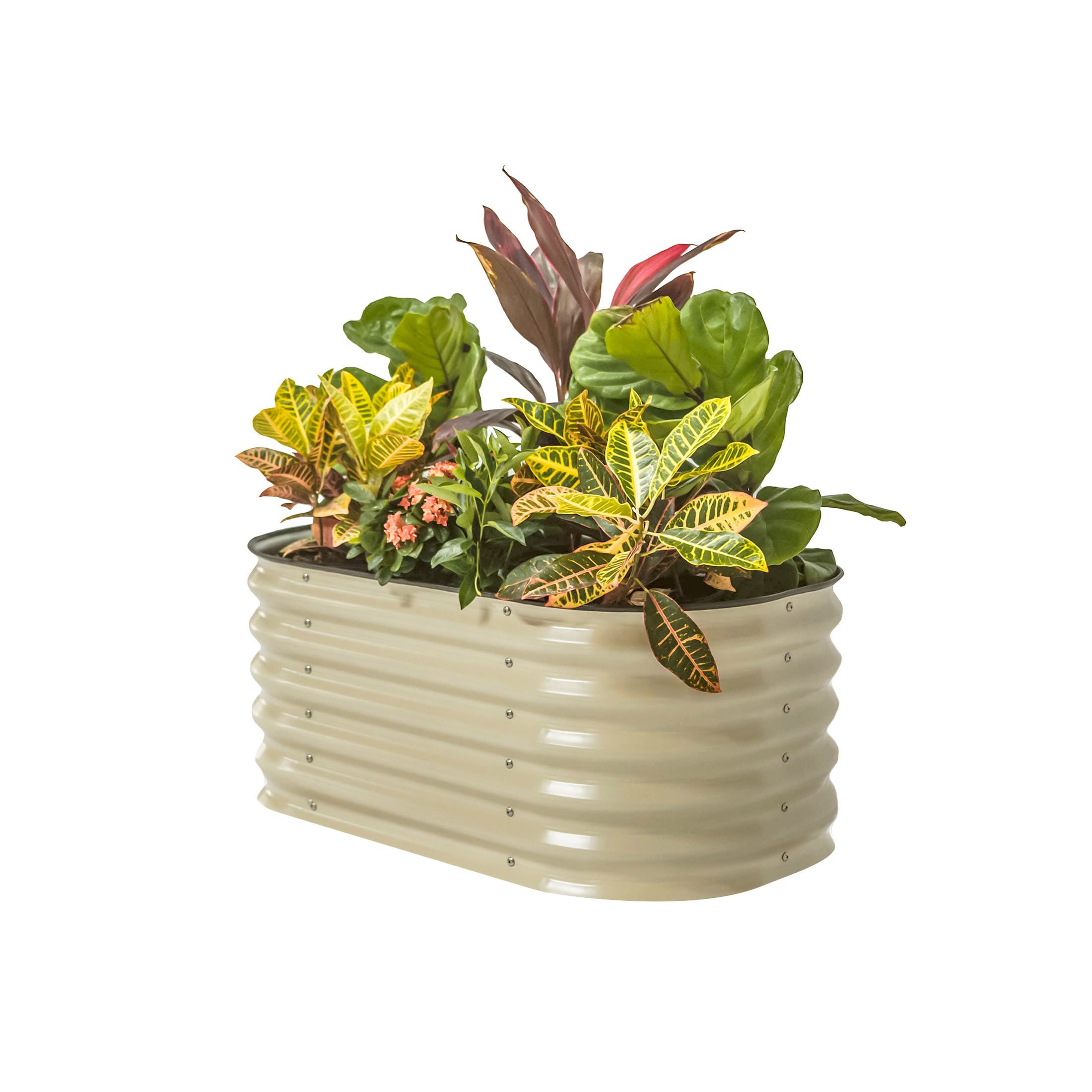 Vego Garden VBKID17W 10-cu ft 24-in W x 42-in L x 17-in H Pearl White Galvanized Metal Raised Garden Bed