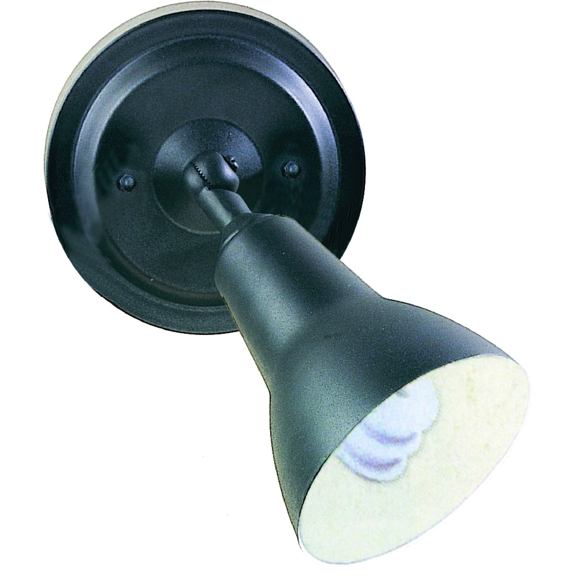 Volume Lighting V8781-5 1 -Light 11.5-in H Satin Black Hardwired Outdoor Wall Light
