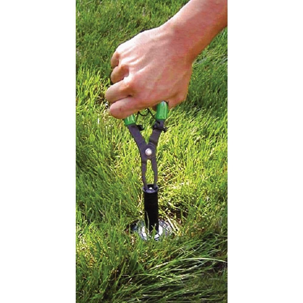 Rain Bird Silver Pop-Up Impact Sprinkler Service Wrench - Easily Clean or  Replace Rain Bird Sprinkler Heads - Chrome Finish - LG-3/Mini-Paw &  AG-5/Maxi-Paw Compatible in the Underground Irrigation Tools department at