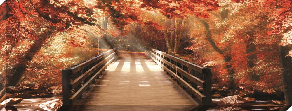  1607-8156LOW 14-in H x 37-in W Landscape Print on Canvas