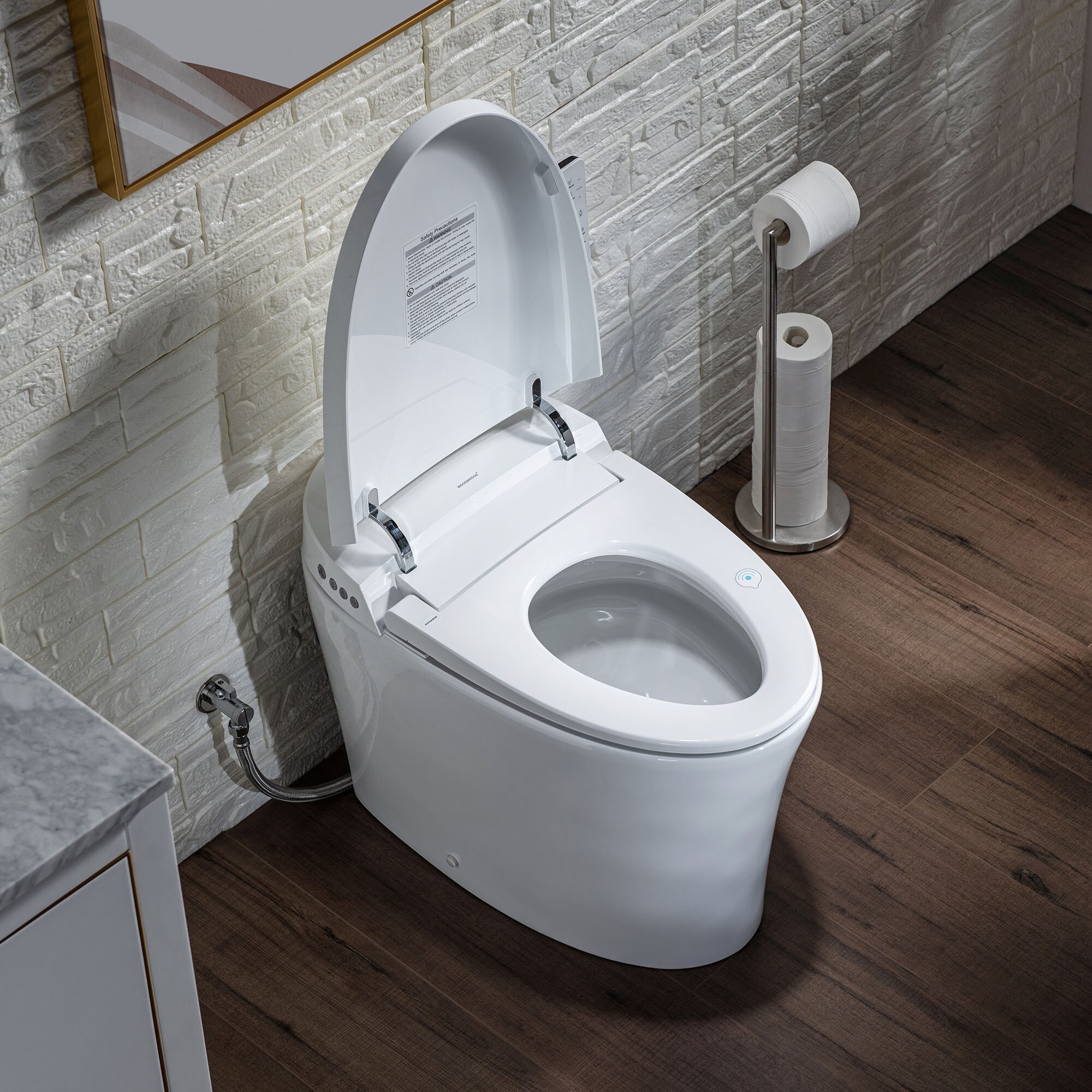penge til kold Woodbridge Victoria White Dual Flush Elongated Chair Height Smart  WaterSense Soft Close Toilet 12-in Rough-In with Bidet 1.28-GPF in the  Toilets department at Lowes.com