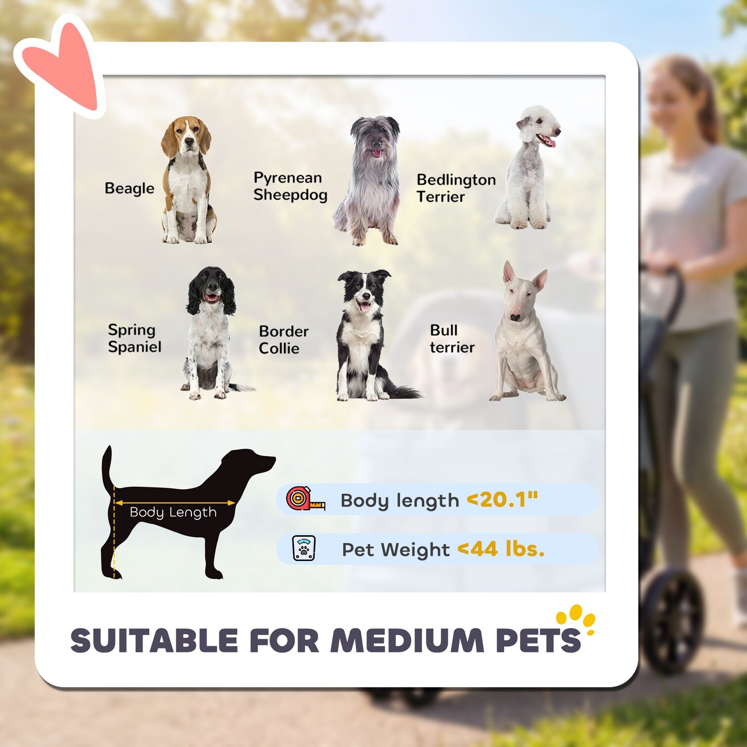 Tammesy SHMGODKSJ0OK Pet-Strollers - View #3