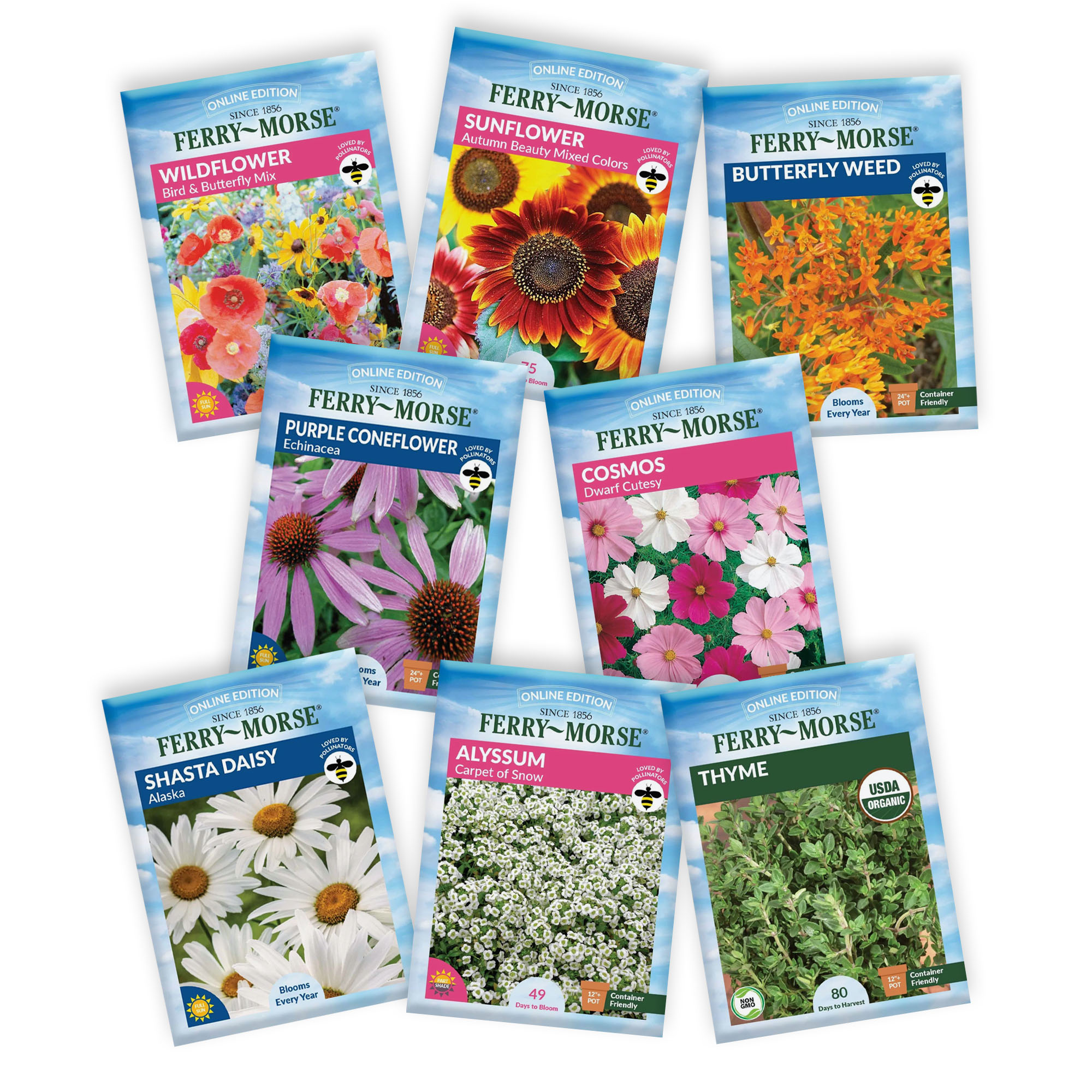 do asiatic lilies bloom all summer Asiatic Lily Collection
