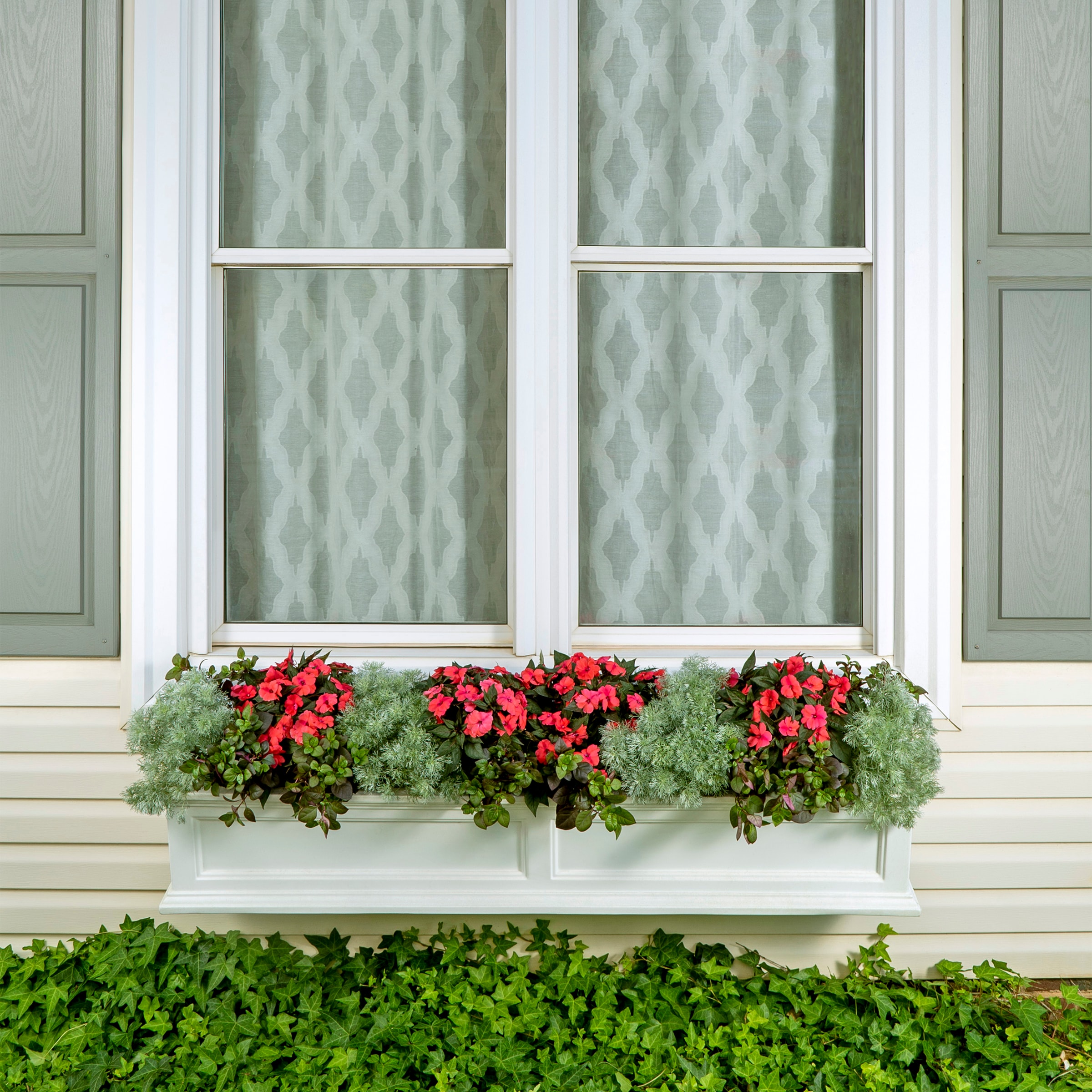 Lowe's 206616 annuals - View #15