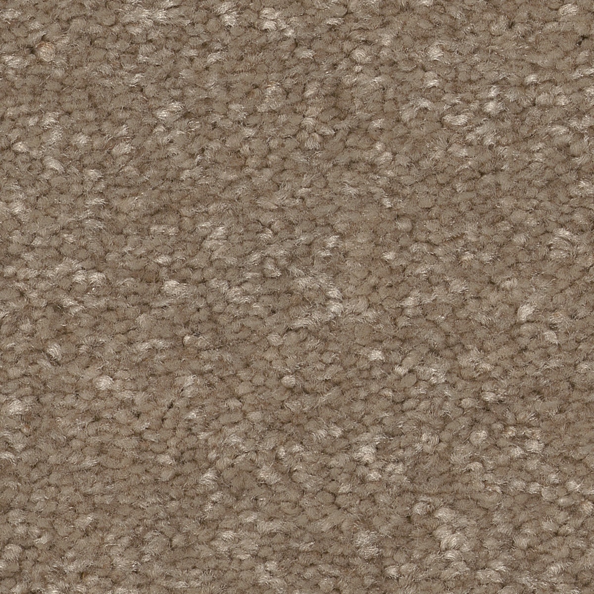 STAINMASTER 7L863 - 113 - SAMP (Sample) Best Intentions II Cameo Brown 53.6-oz sq yard Polyester Textured Indoor Carpet