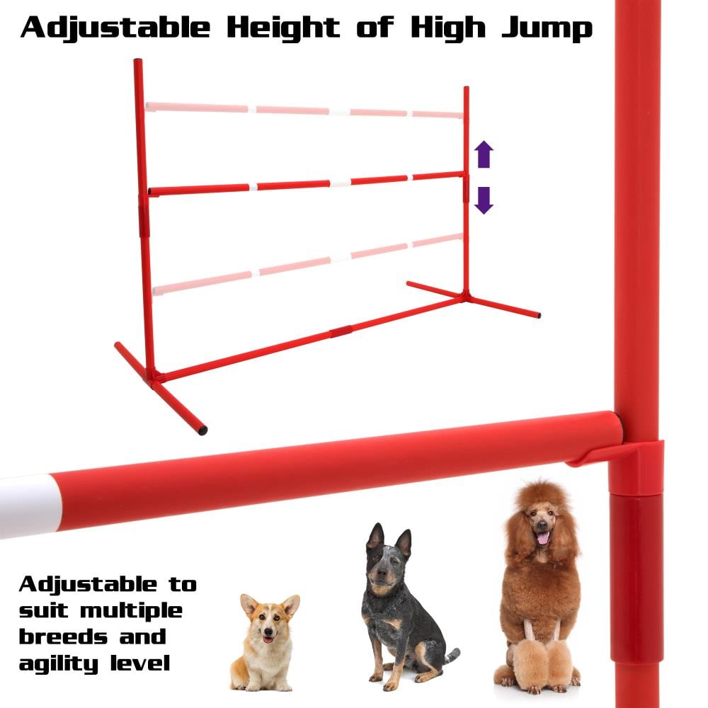 Joshica's Planet Canine - Determine your dog's IDEAL weight. No scale  needed. Works for any breed.