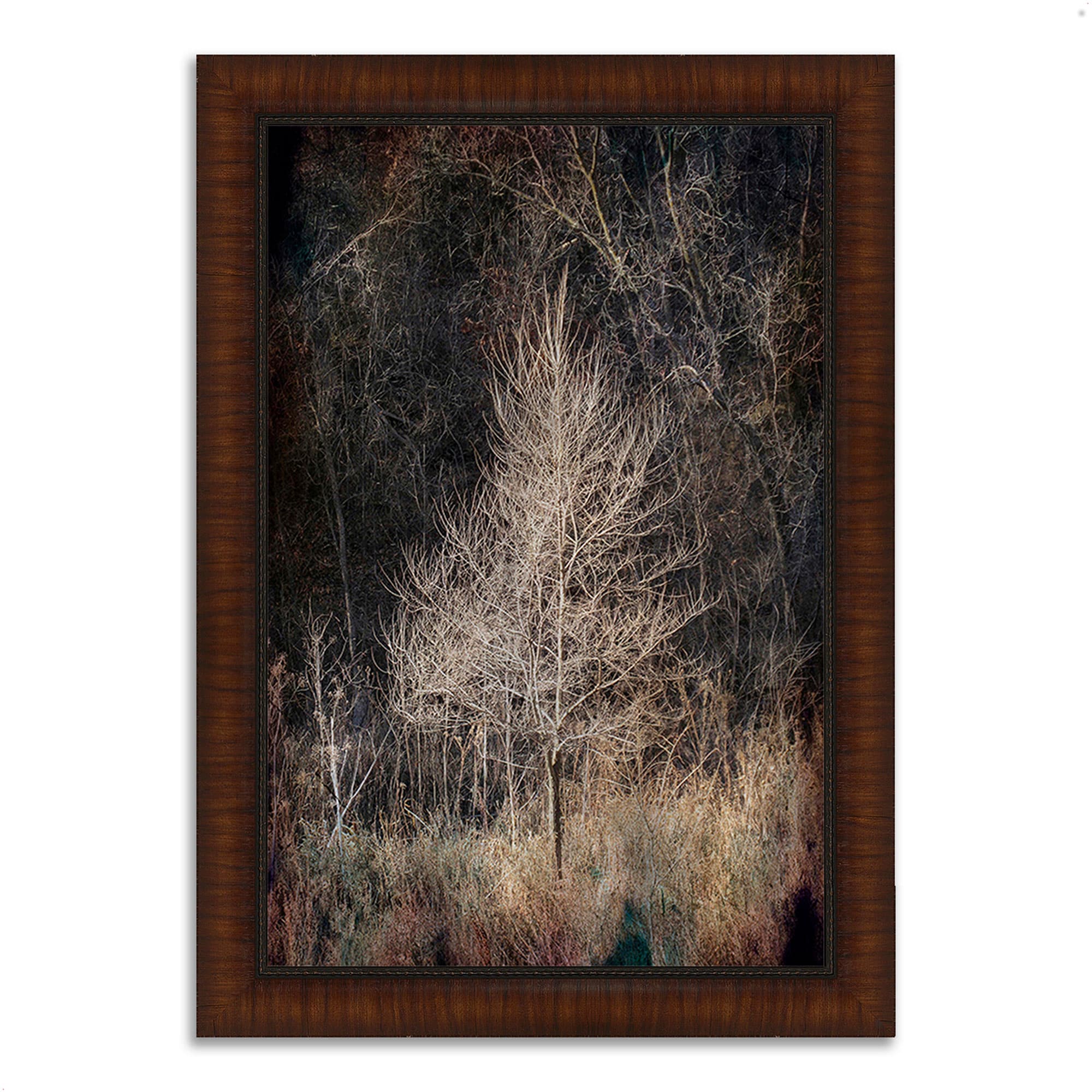 Tangletown Fine Art Framed Photograph Print 36 In. x 51 In ...