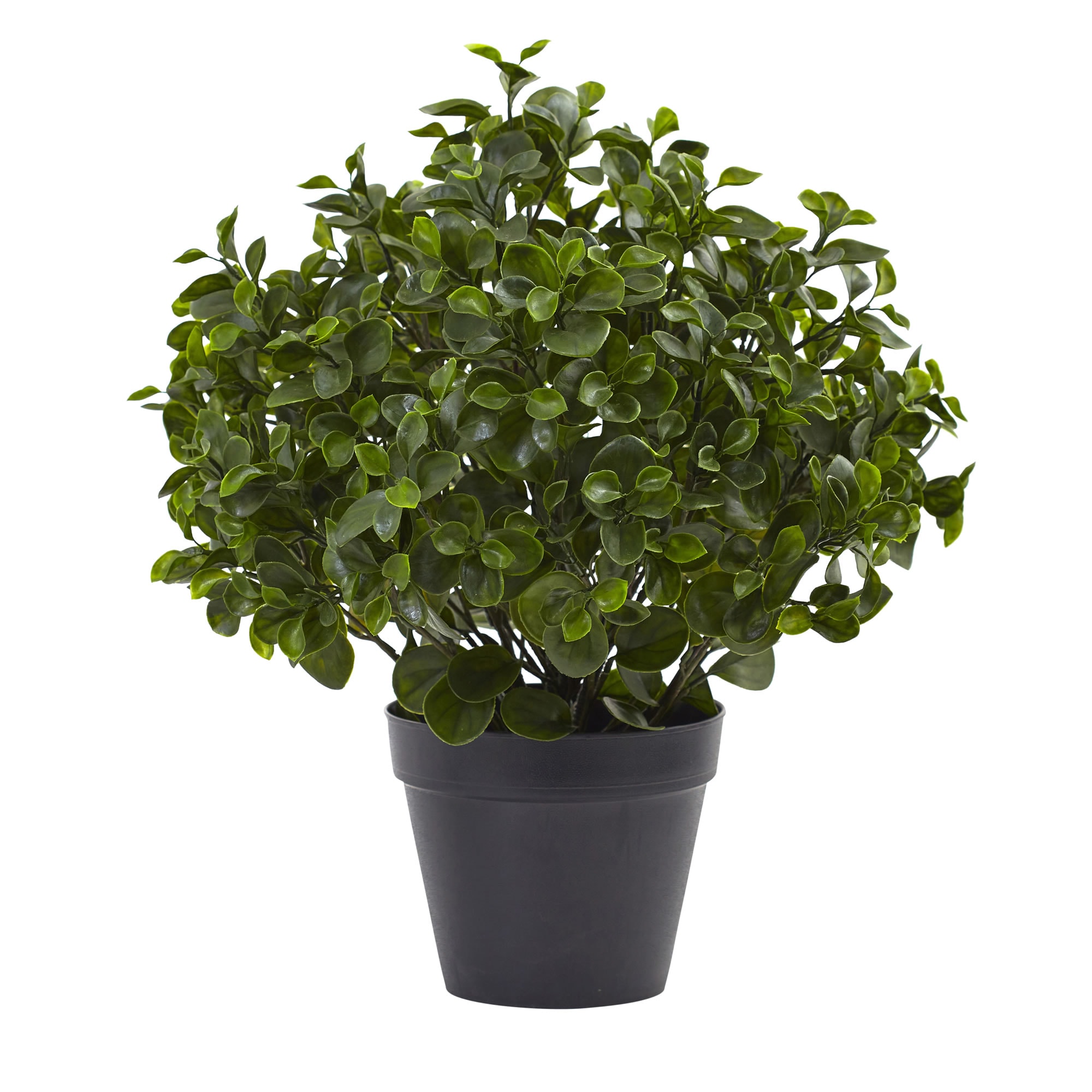 Peperomia Artificial Plants & Flowers at