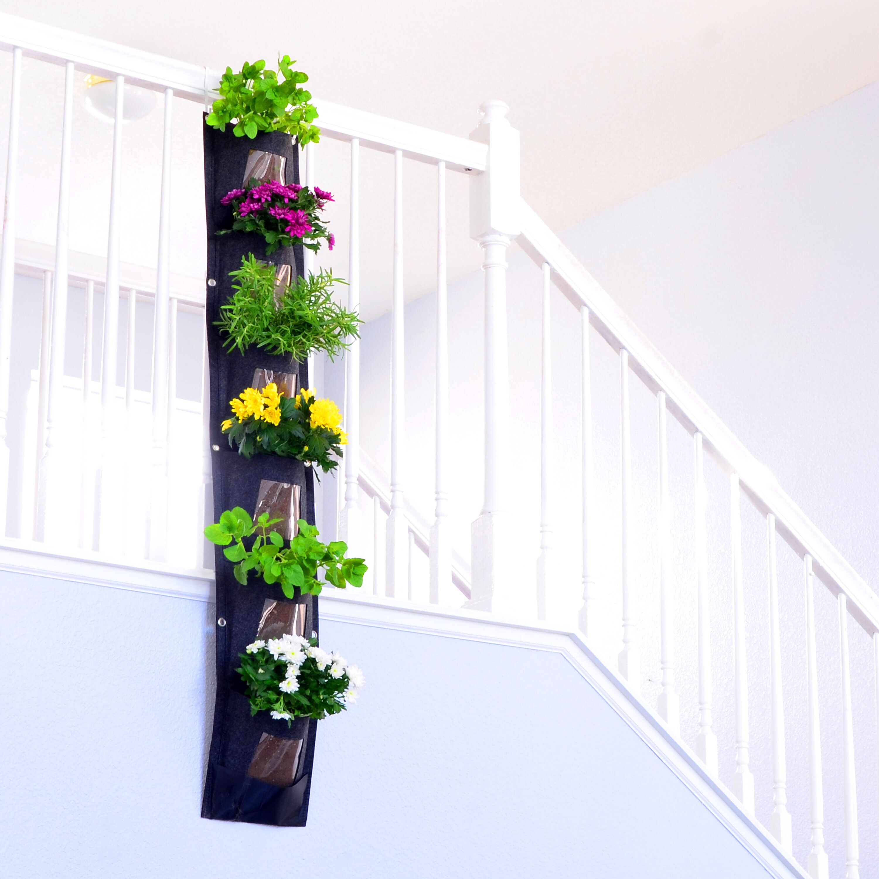 CHARGUY 3 House-Plant-Accessories - View #6