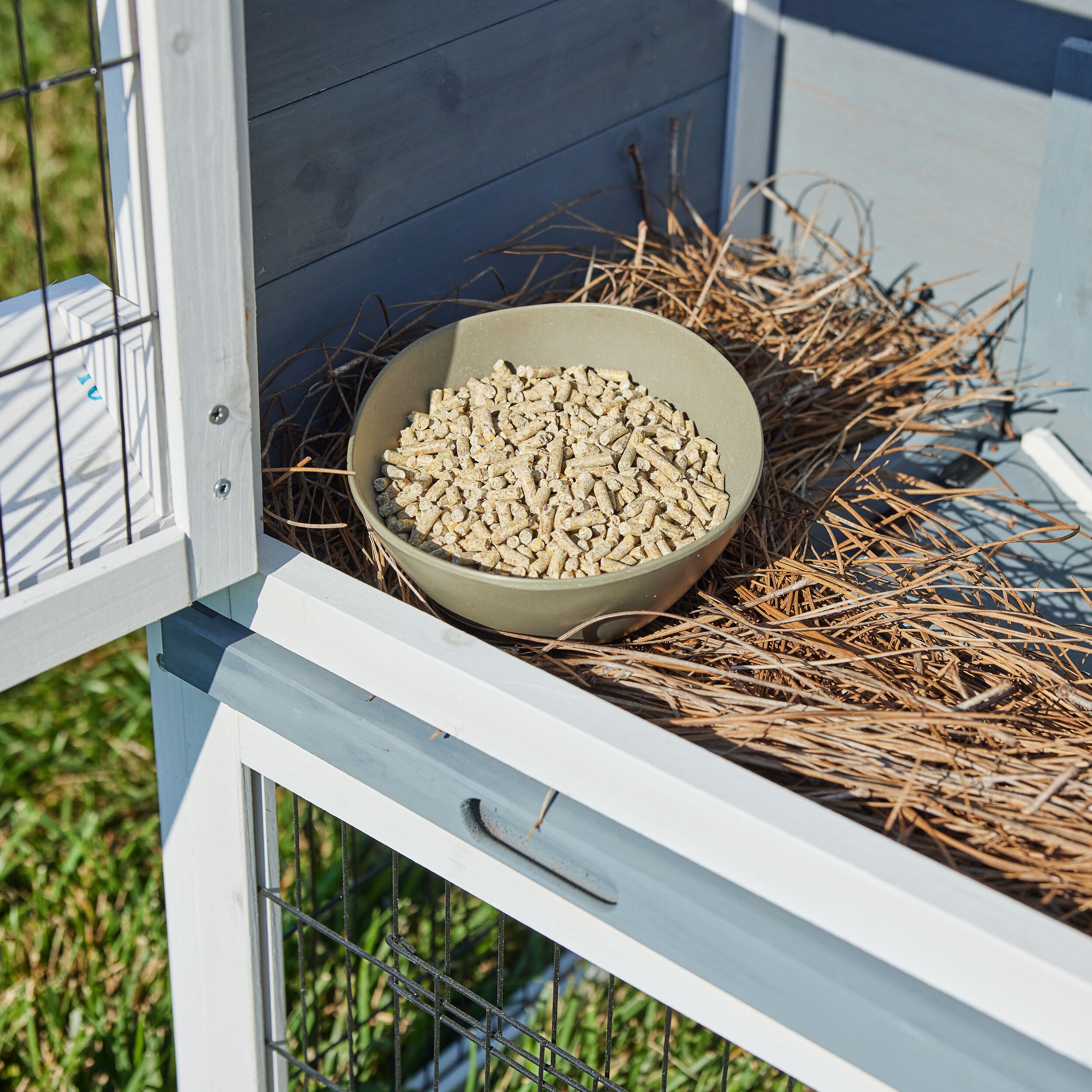 Pecking Order 009671 Poultry-Feed - View #5