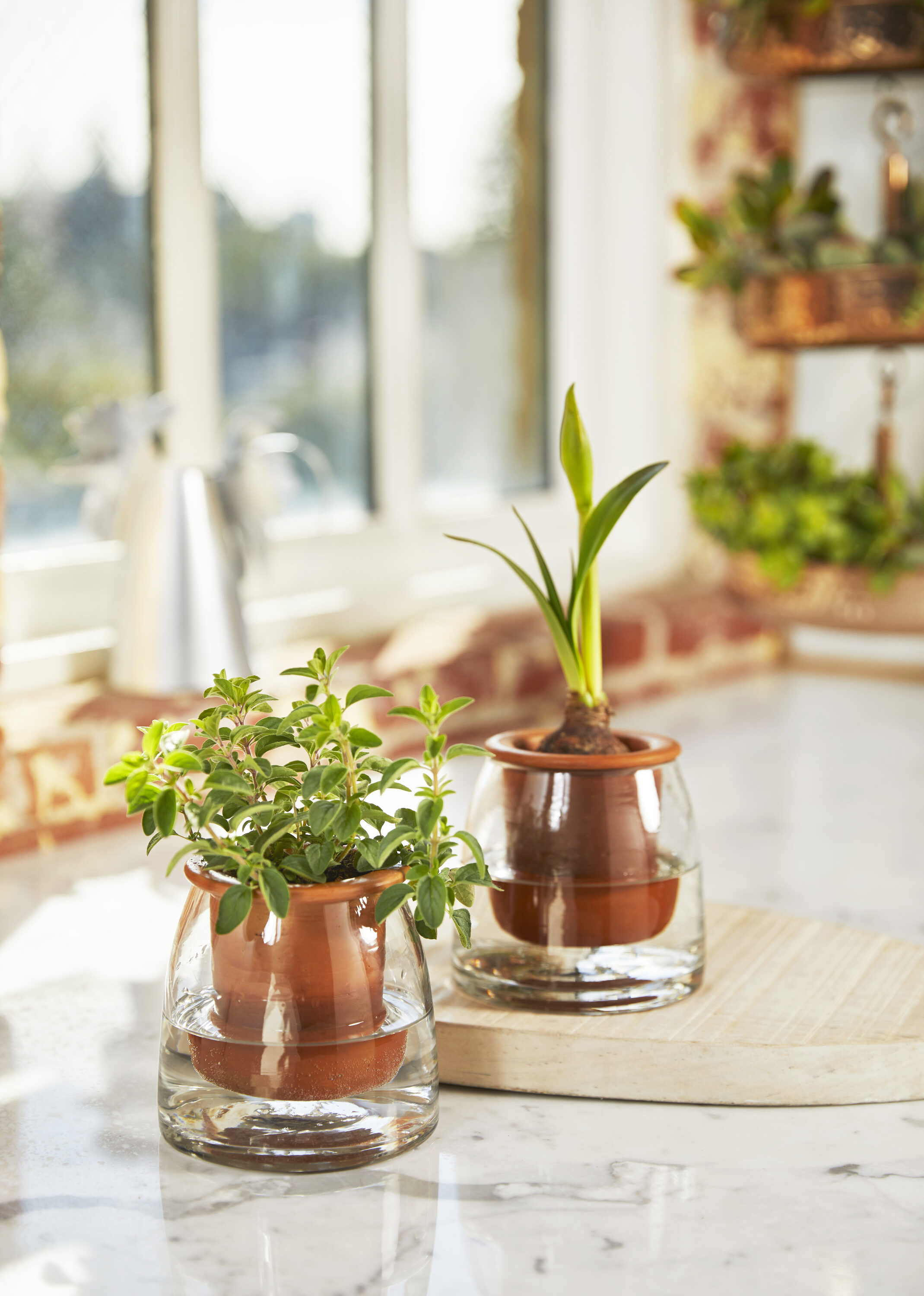 Citrine 8157 Round 4.5-Inches W Small Terracotta Indoor/Outdoor Planter with Self Watering