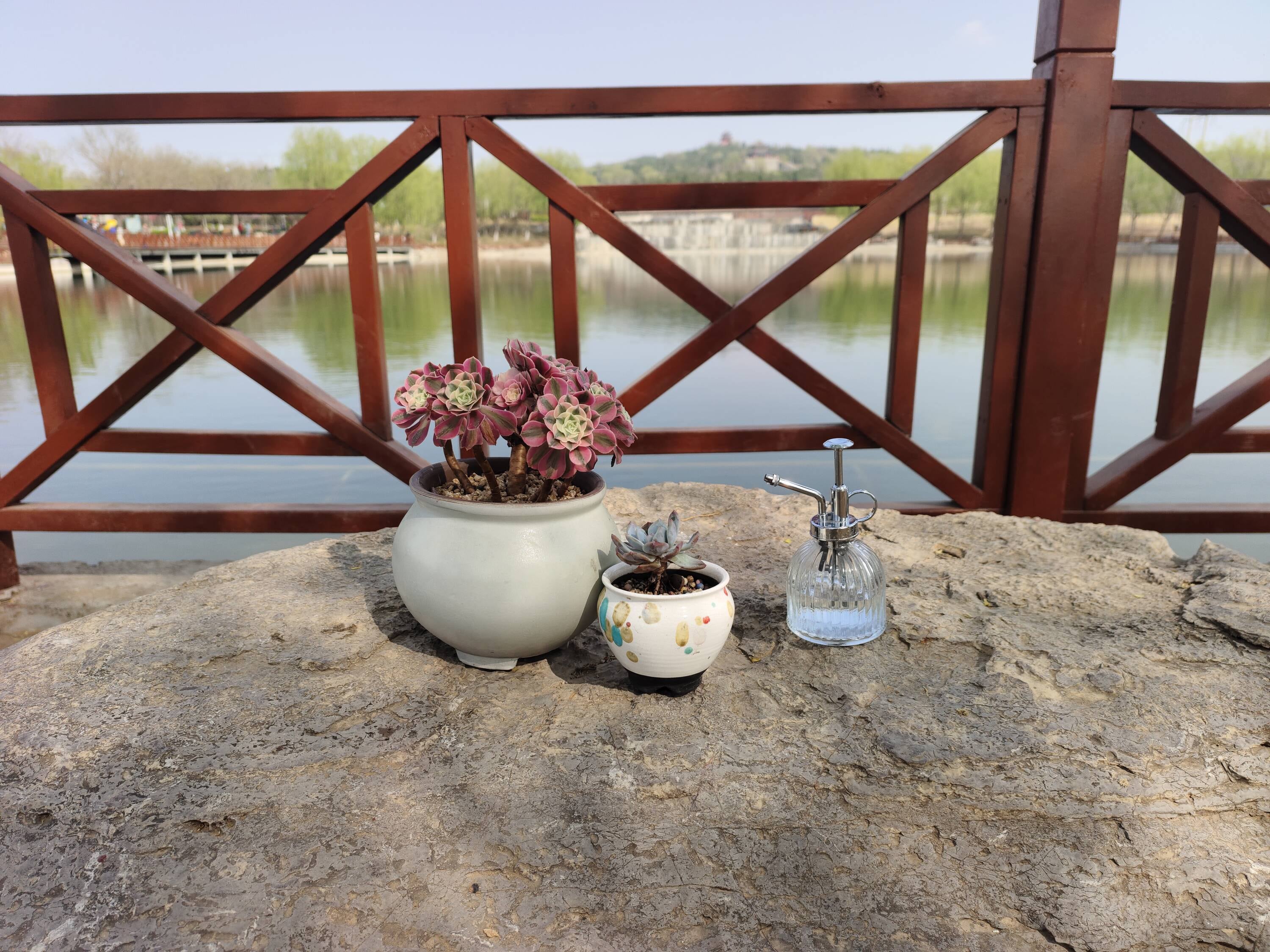 allen + roth LWP036-C Watering-Cans - View #7
