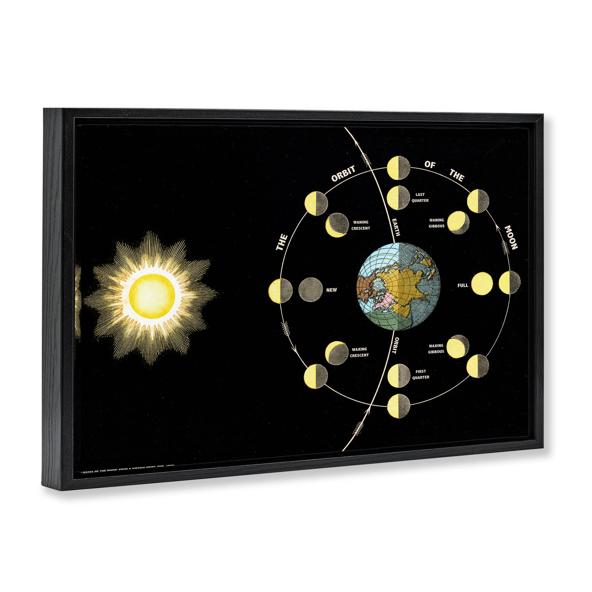 Stupell Industries BT-485-FFB-20X30 Wall-Art - View #2