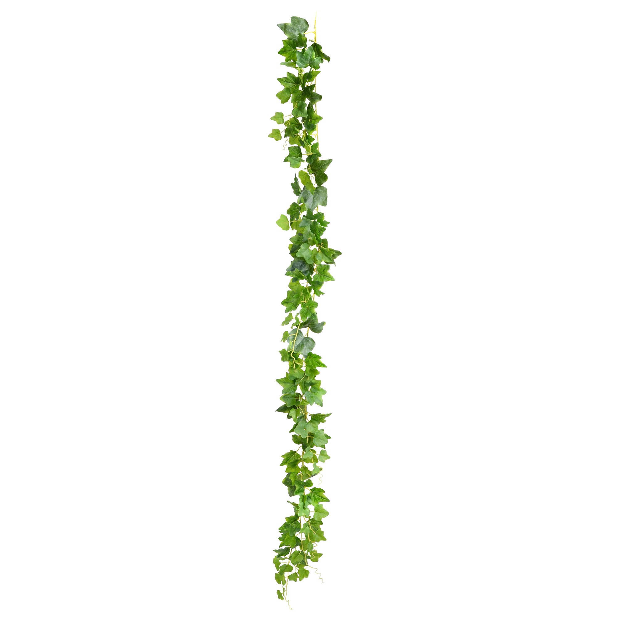 Vickerman FA188801 71-Inches Green Indoor Desktop Ivy Artificial plant
