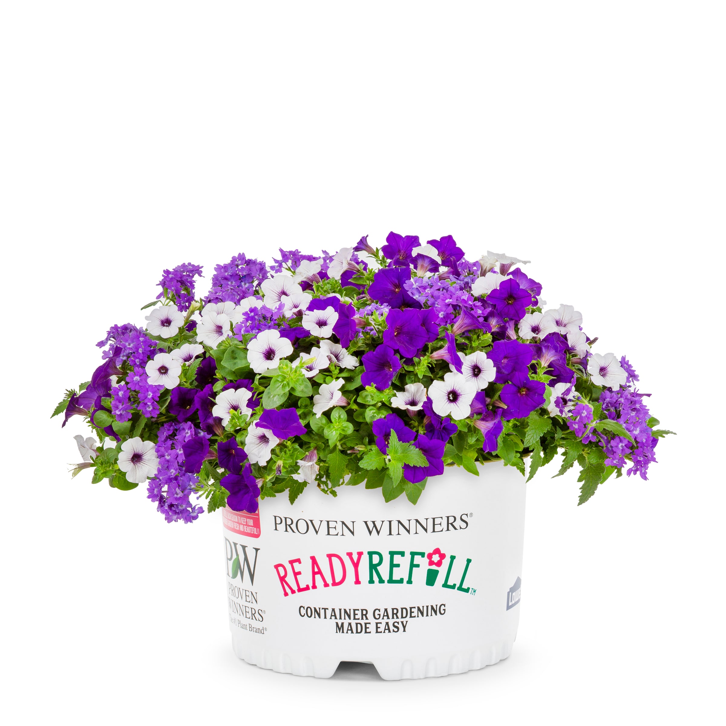 Ready Refill NURSERY Multicolor Mixed Annuals Combinations Pot