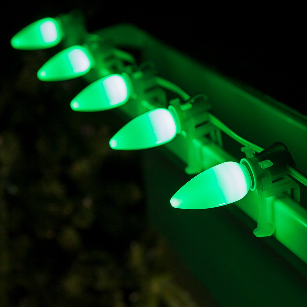 Wintergreen Lighting 74050 String-Light-Bulbs-Fuses - View #4
