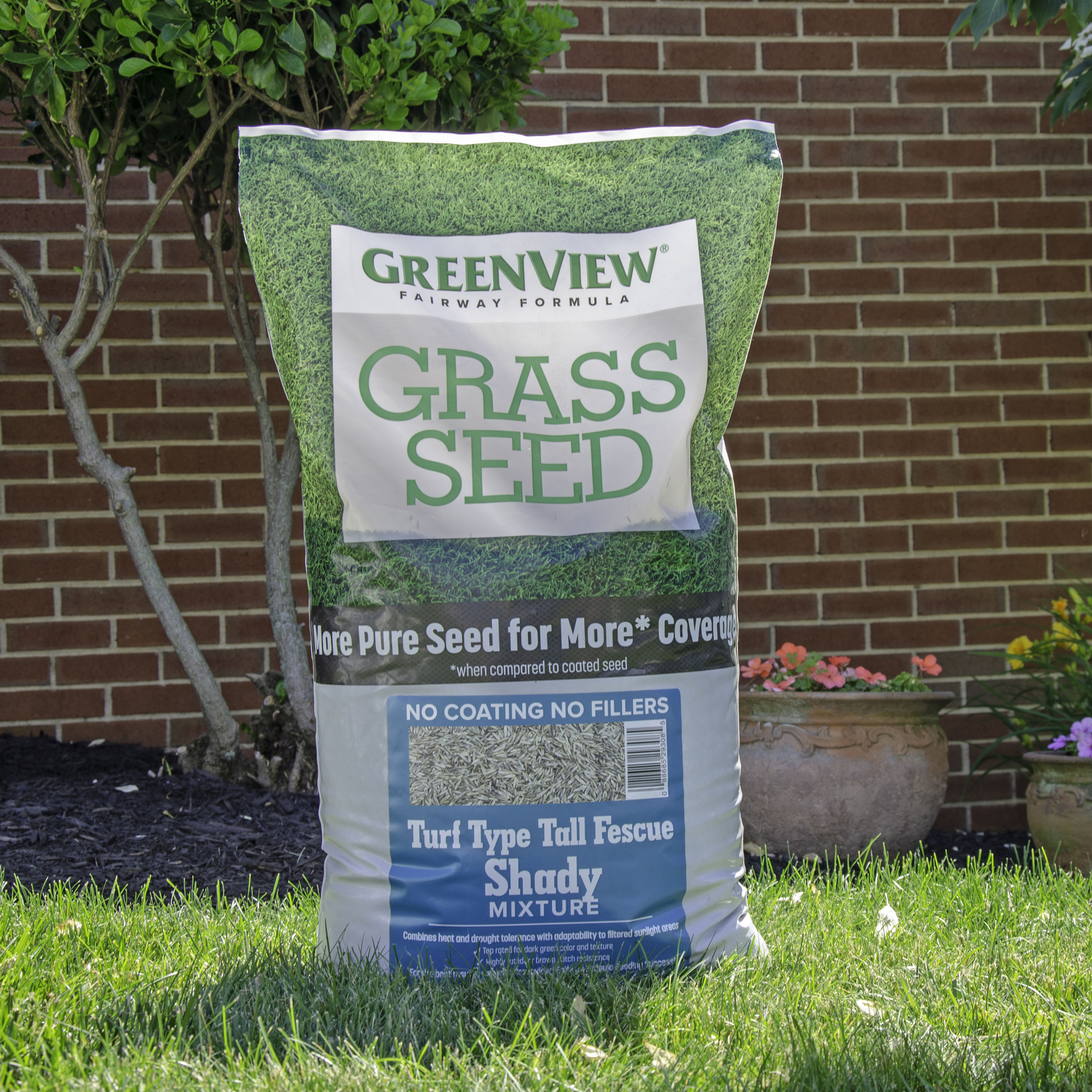 Greenview Fairway Formula Turf Type Tall Fescue Shady 20-lb Natural ...