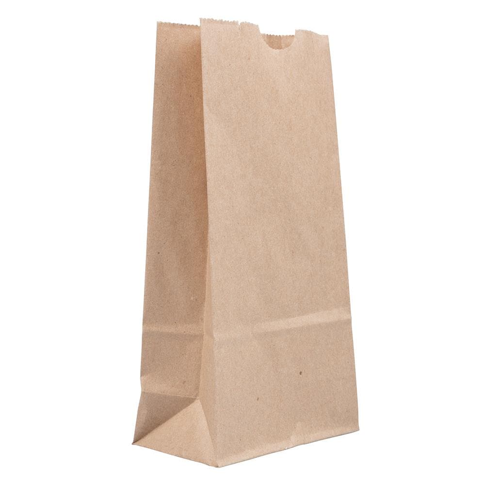 Brown Kraft 100% Recycled 4 1/8 x 8 x 2 1/4 Small Details about    JAM PAPER Lunch Bags 