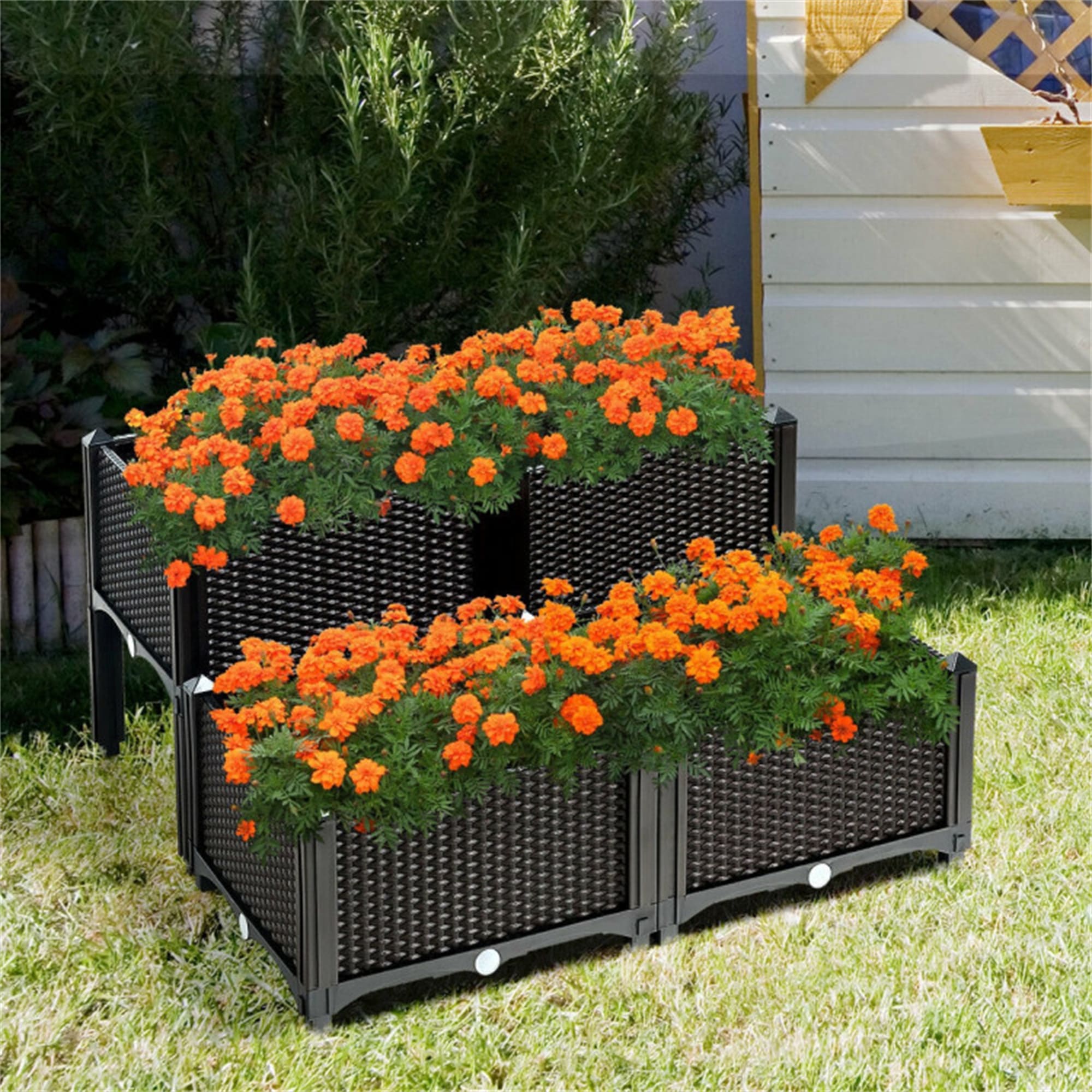 BABOOM BOM-70301BN-CO 16-in W x 16-in L x 17.5-in H black/Reinforced PP materials Plastic Raised Planter Box