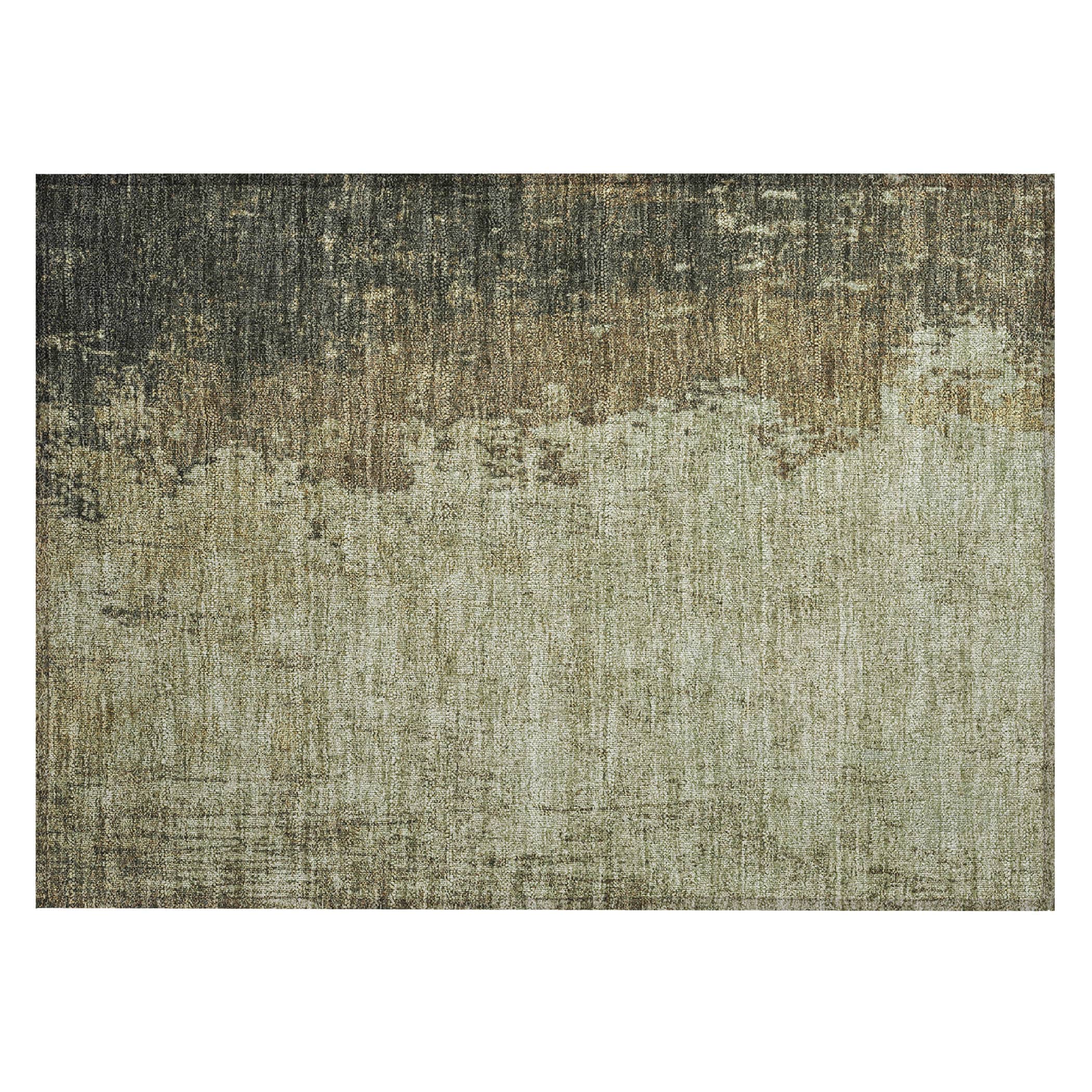 Addison Rugs ACN1904OL20X30 rugs - View #2