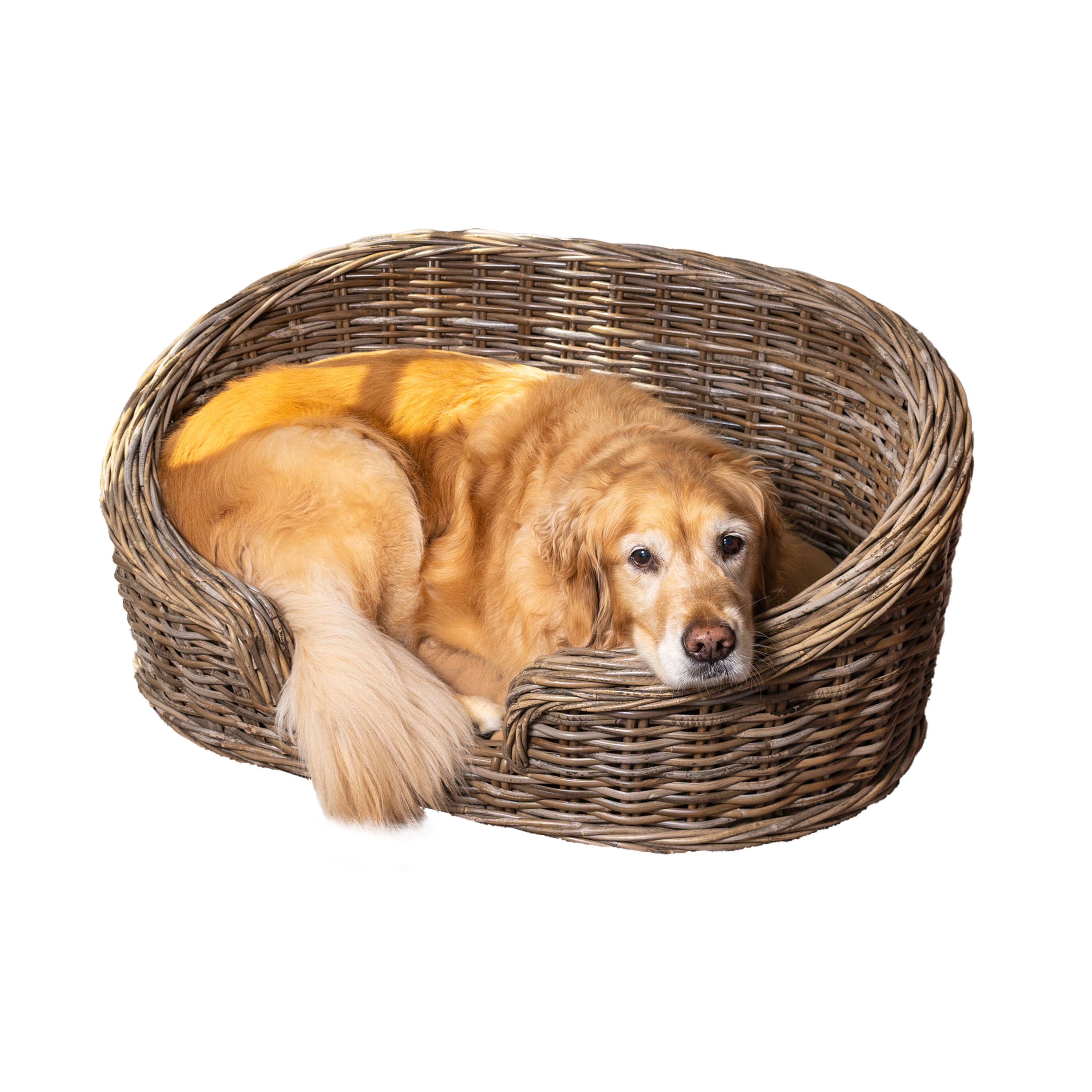 The Licker Store DBD1001A Oval Kubu Gray Polyester Bolster Dog/Cat Bed ( Large )