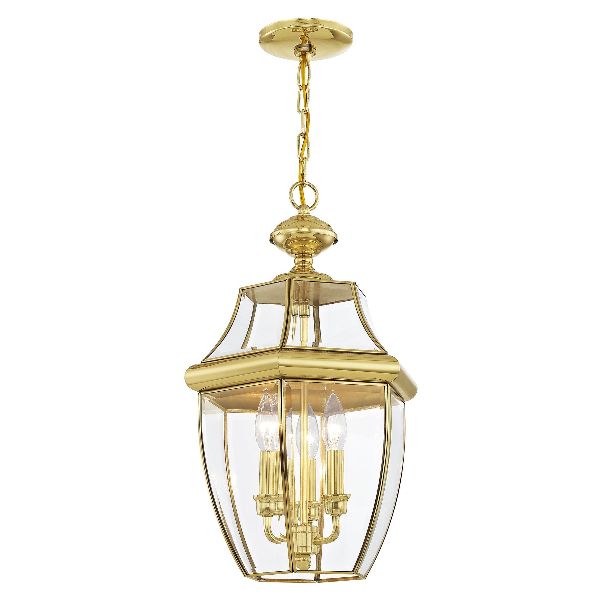Monterey 21" Polished Brass and Clear Glass Outdoor Pendant Light