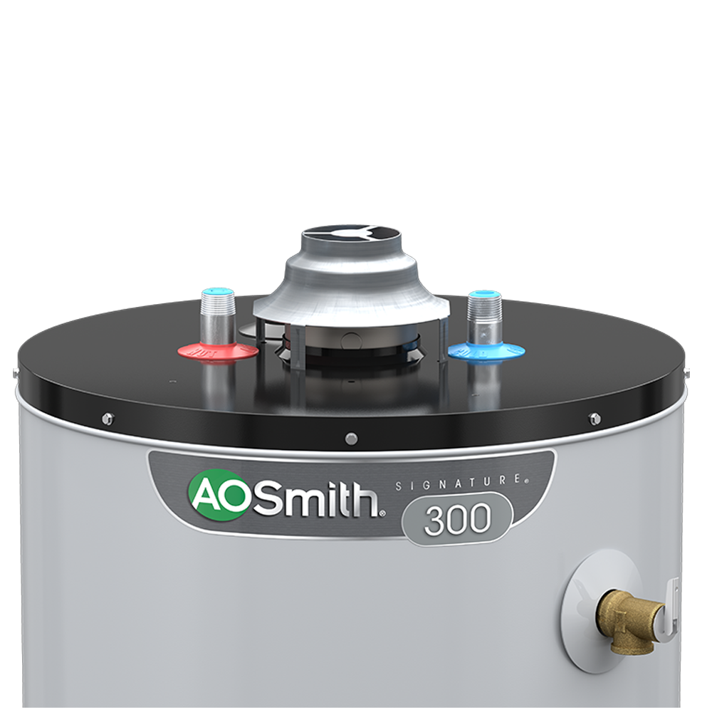 A.O. Smith Signature 100 50-Gallons Tall 6-year Warranty 40000-BTU Natural Gas  Water Heater in the Water Heaters department at