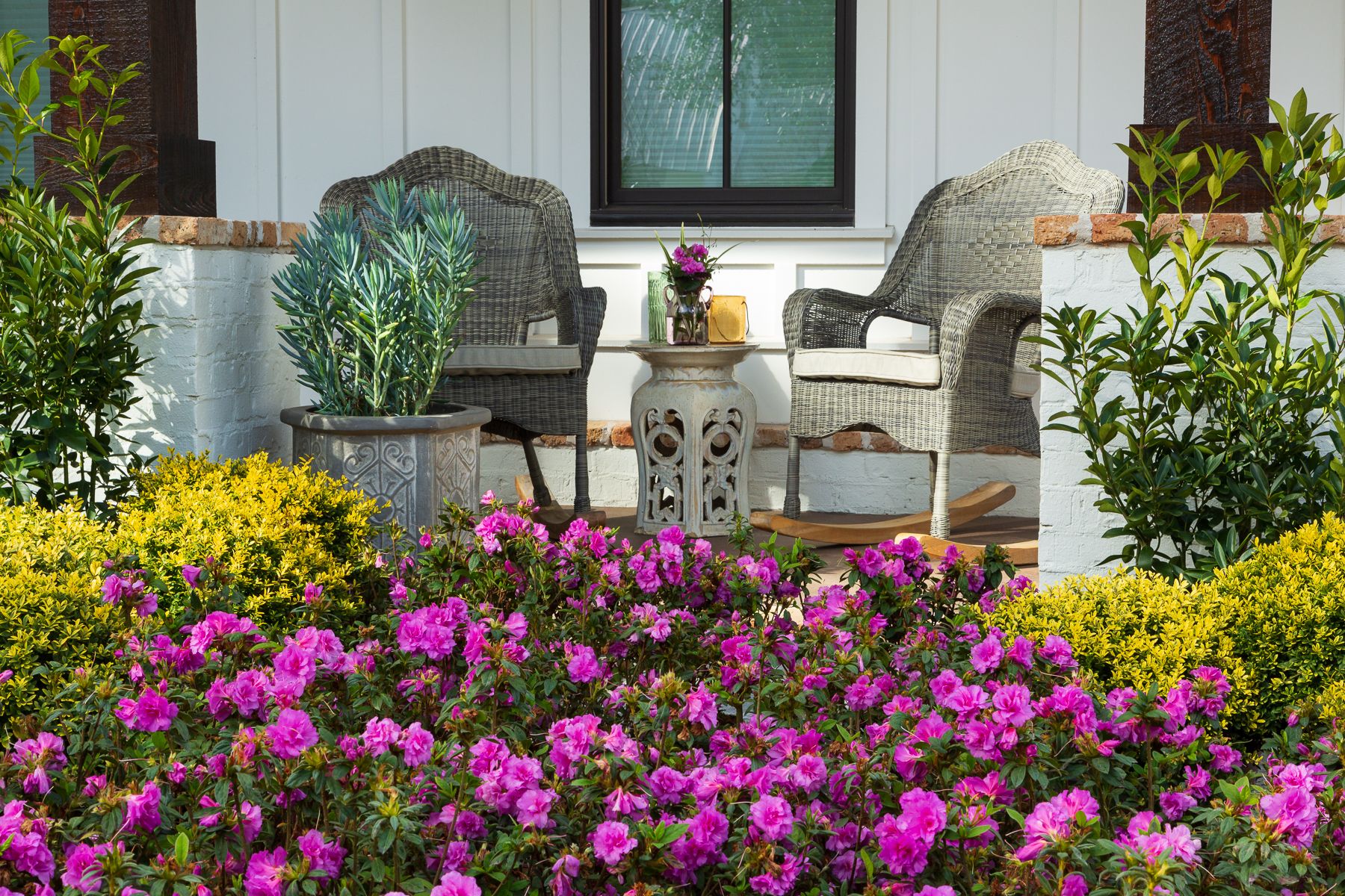 Encore Azalea 80573-1 shrubs - View #10