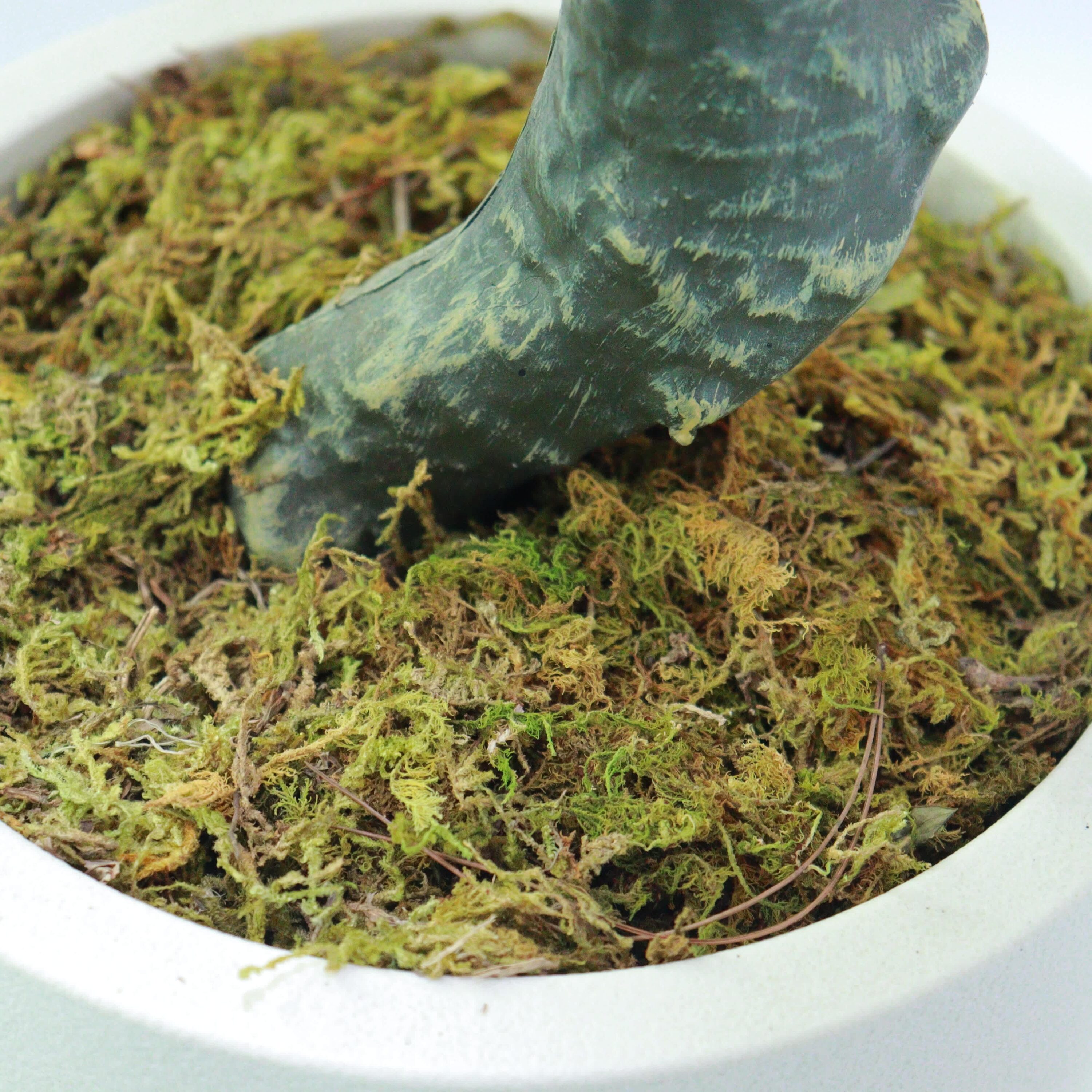 Qeetex GGL-PHK-354AGM3T Artificial-Plants-Trees - View #6