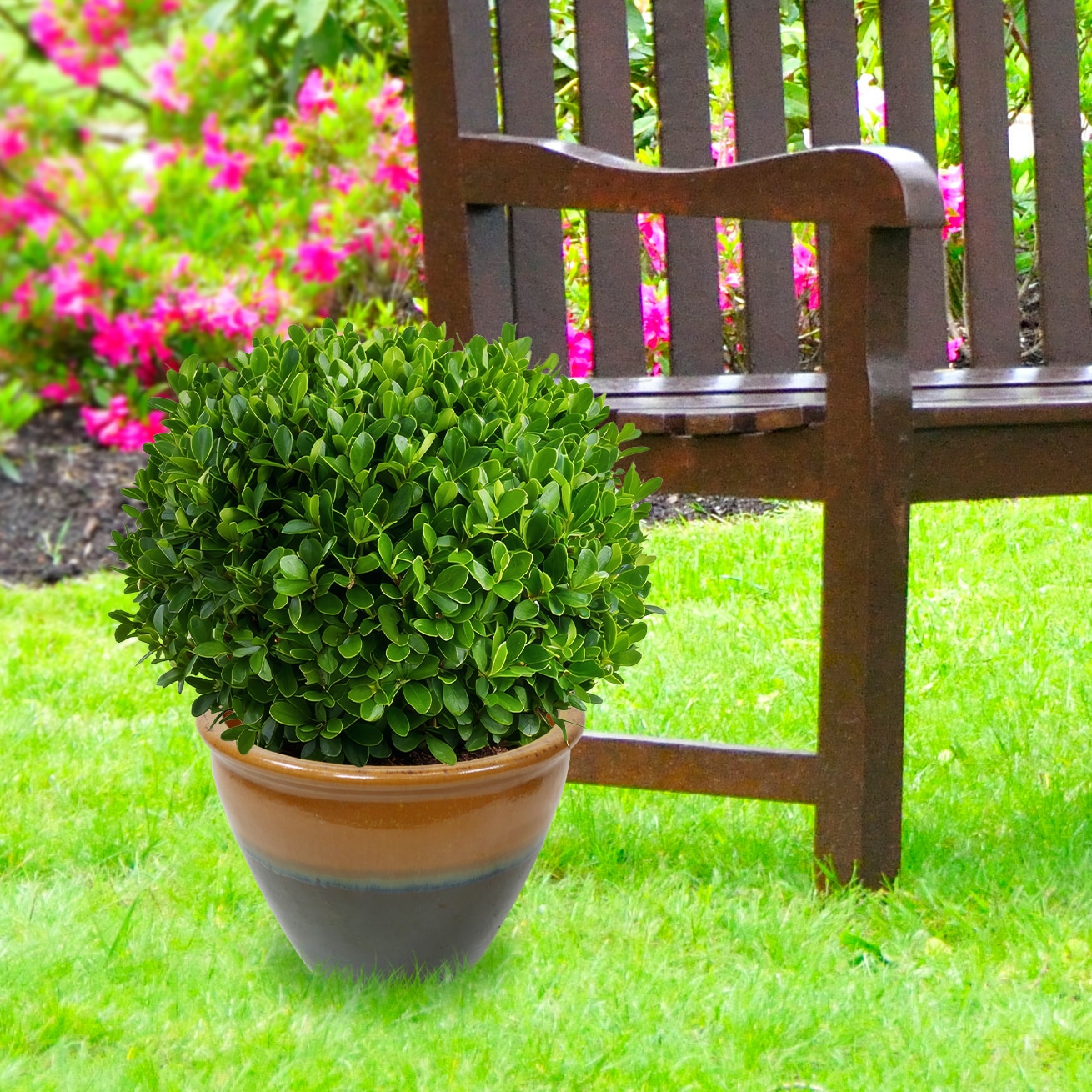 Sunnydaze Decor AP-810 Planter-Window-Box - View #9