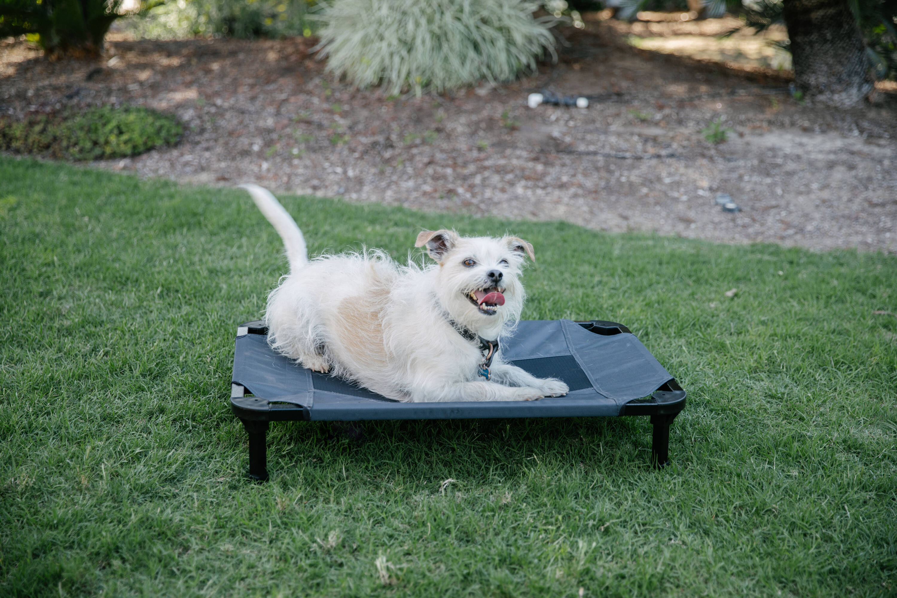 EveryYay Teal Cool Orthopedic Dog Crate Mat, 23 L x 15 W x 2 H