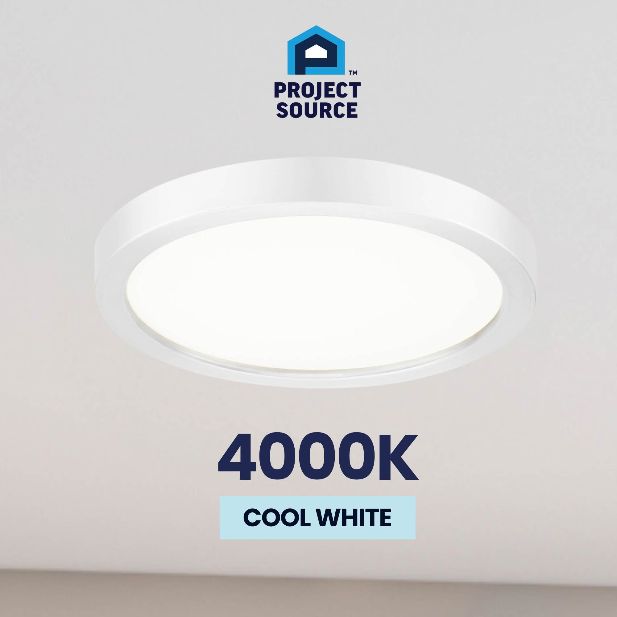 Project Source 43540 flushmounts - View #13