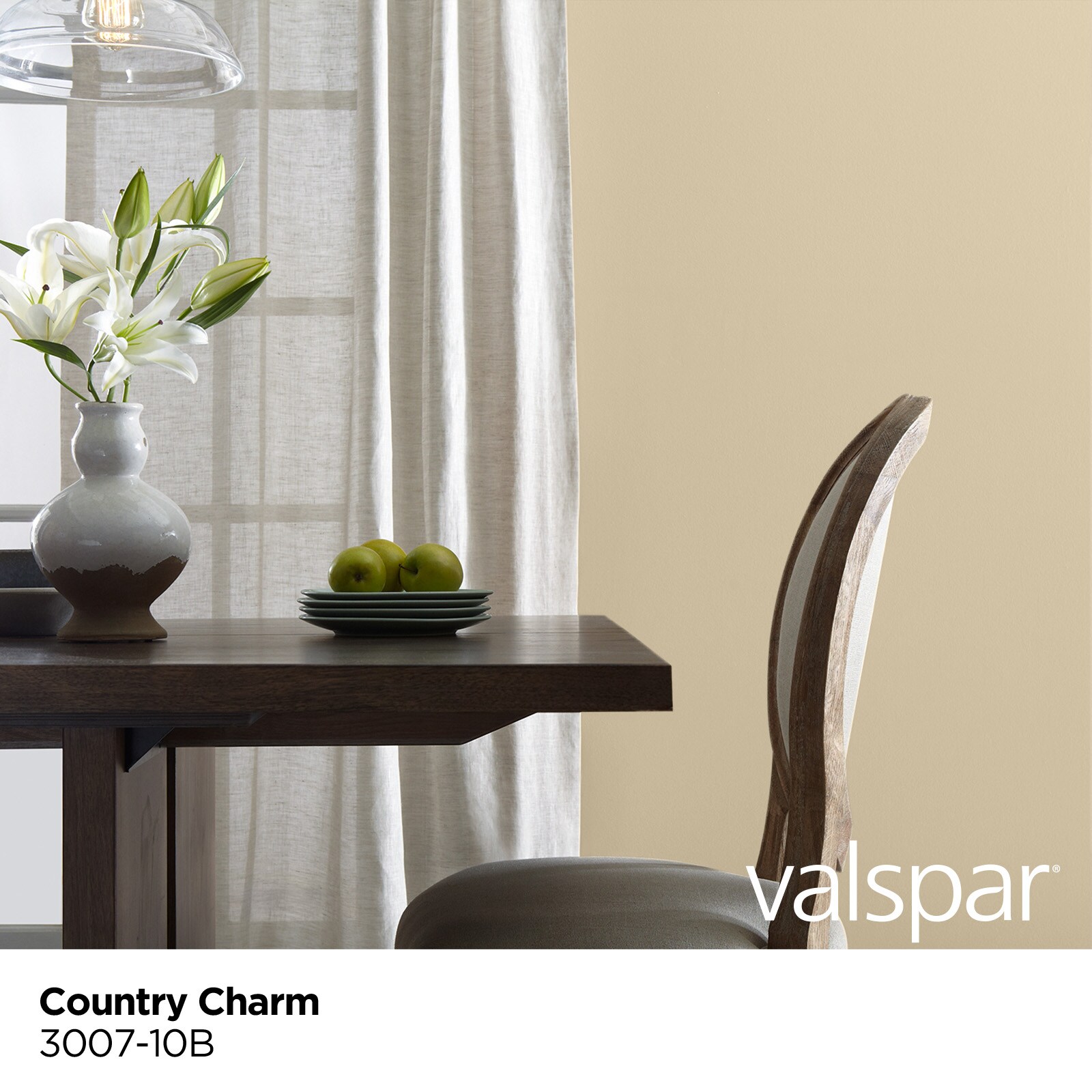 Valspar 3007-10B-2916586 Int-Ext-Paint - View #3